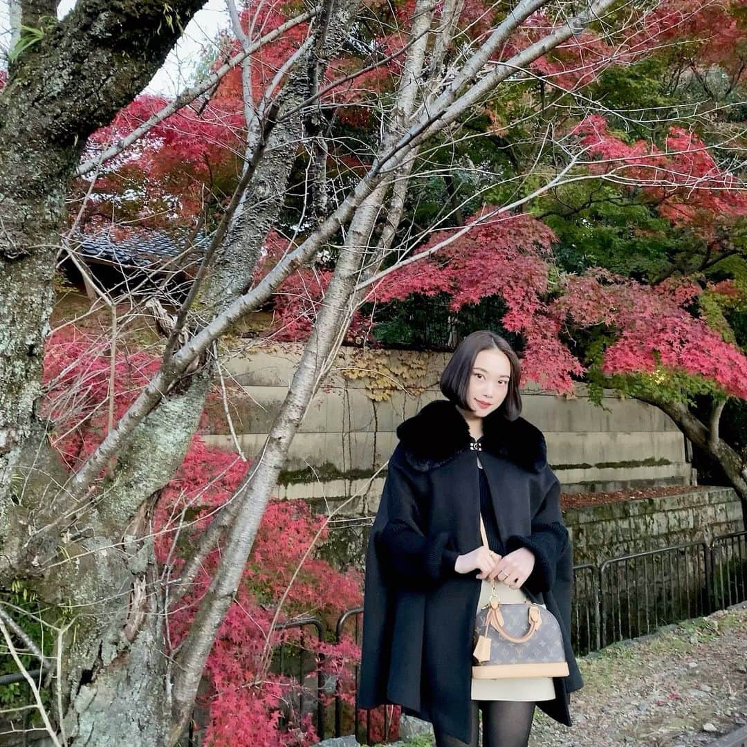 田中 レイナのインスタグラム：「今年も京都行きたい🍢  最近気づいたけど、白黒ベージュの服しか持ってない」
