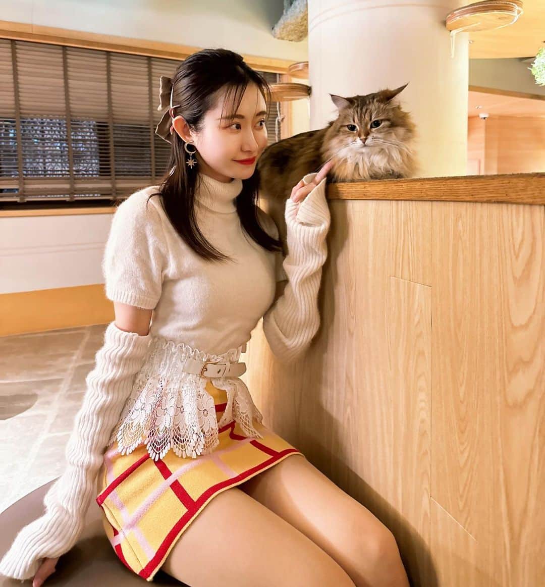 月中秋実のインスタグラム：「・ ・ 猫アレルギーに なったのかもしれない、、 ・ ・ #猫カフェ#catcafe#ねこ#ぬこ#かわいい」