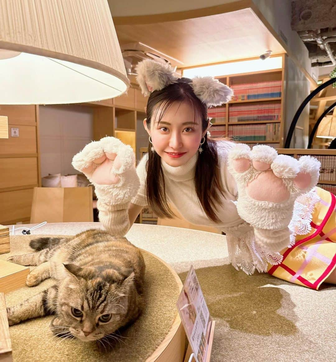 月中秋実さんのインスタグラム写真 - (月中秋実Instagram)「・ ・ 猫アレルギーに なったのかもしれない、、 ・ ・ #猫カフェ#catcafe#ねこ#ぬこ#かわいい」11月17日 16時59分 - tukinakaakimi