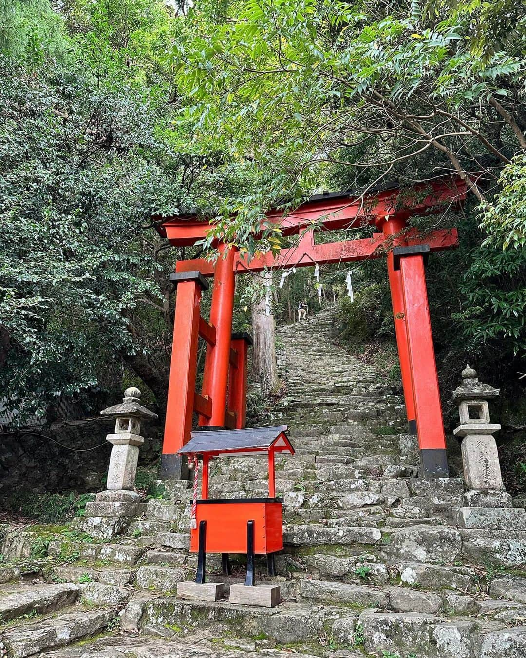 和みわかやまのインスタグラム：「. 三重県との県境、新宮市にある神倉神社⛩鳥居の向こうに壁の様に続く、500段以上の石段を登った先に御神体の岩があります🙏足元に十分お気をつけてお越しください。  📷：@kazuk338 📍：熊野エリア 新宮市  #グッドトリップ和歌山 投稿キャンペーン優秀賞からのリポストです😉 . . . #和歌山 #和歌山観光 #和歌山旅行 #わかやま #和みわかやま #wakayama #wakayamajapan #wakayamatrip #wakayamatravel #nagomi_wakayama #wakayamagram #熊野 #熊野速玉大社 #神倉神社 #熊野古道 #自然信仰 #kumano #kumanohayatamataisha #kamikurajinjashrine #kumanokodo #旅行 #国内旅行 #旅行好きな人と繋がりたい #観光 #travel #trip #travelgram #japan #travelphotography」