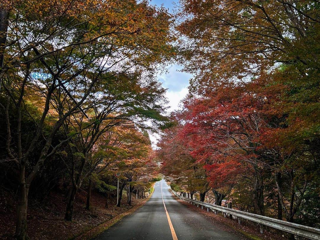 一級建築士事務所hausさんのインスタグラム写真 - (一級建築士事務所hausInstagram)「紅葉はそんなに進んでいませんでしたが眺めのいいところ♪  #京都 #保津峡 #保津川 #紅葉 #嵐山高雄パークウェイ #kyoto #kyotojapan #autumn #autumnleaves」11月17日 17時19分 - hausuma