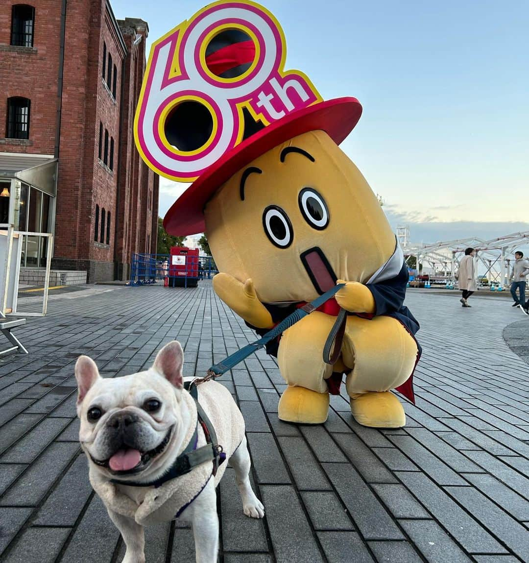 テレビ東京「どうぶつピース‼︎」のインスタグラム