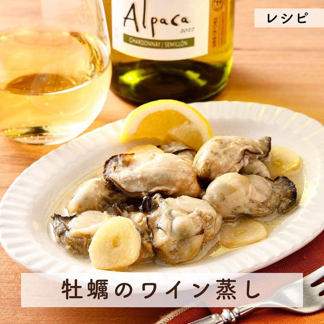 サンタ・ヘレナ『アルパカ』のインスタグラム：「旬の牡蠣をシャルドネ・セミヨンを使ってワイン蒸しにしました✨保存してこの冬作ってみてくださいね☺️  シャルドネ・セミヨンのトロピカルフルーツやピーチの豊かな果実味が、牡蠣のうまみと良く合います😍  【材料】 ・牡蠣：8~10個 ・シャルドネ・セミヨン（または酒）：大さじ1 ・オリーブオイル：大さじ1 ・塩：ひとつまみ ・片栗粉 ・にんにく ・レモン  【作り方】 ①牡蠣(加熱用)に、片栗粉を少量入れて汚れを洗う。数回水洗いする ②オリーブオイルと薄切りにしたにんにくを弱火で香りが出るまで火にかける。油を少し冷ましてから、牡蠣・白ワイン・塩を入れる ③火をつけてふつふつしてきたら、蓋をして弱火で5～6分 ④お皿に盛り、お好みでレモンをしぼる  ┈┈┈┈┈┈┈┈┈┈┈┈┈┈┈┈ ハッシュタグ、 #今日のアルパカ #アルパカワイン で、みなさんからの投稿を募集中🍷 公式アカウントでご紹介させていただきます！ おすすめのおつまみや、アルパカと一緒に食べたおうちごはんなど、投稿をお待ちしています！ ┈┈┈┈┈┈┈┈┈┈┈┈┈┈┈┈  #alpaca#白ワイン#白ワインに合う#チリワイン#リーズナブルワイン#デイリーワイン#コスパワイン#ワインのある暮らし#ワインに合う料理#おうちワイン#家飲みワイン#ワイン好きな人と繋がりたい#簡単レシピ#ワインのお供#ワインのつまみ#おつまみ#おつまみレシピ#宅飲み#家飲み#晩酌#おうちごはん#ホームパーティー#おうちで乾杯#winelover#winetime#牡蠣#牡蠣レシピ」