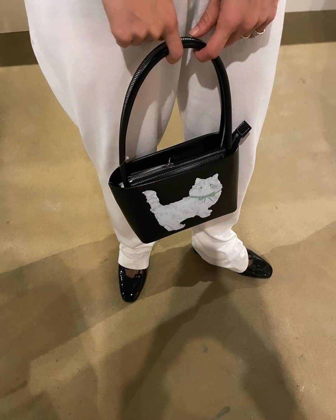 エディットフォールルのインスタグラム：「. yuhan wang @yuhanwangyuhan  11.18 11:00 new in 🐈  cat leather bag ¥79,200 tax in」