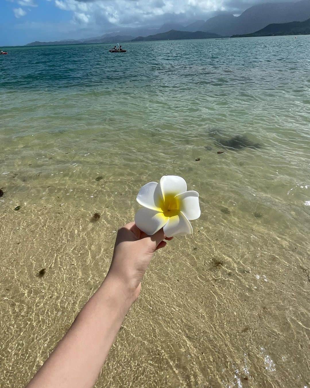 市ノ瀬アオのインスタグラム