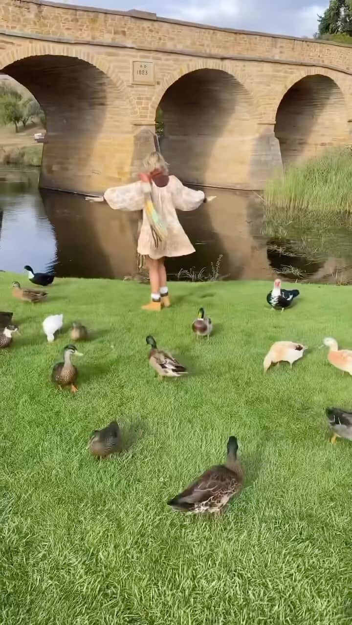 Australiaのインスタグラム：「Waddle down to @tasmania for adorable scenes like these ☝️🦆 Just 30 minutes outside of nipaluna (@hobartandbeyond), you’ll find the picturesque town of #Richmond. Start your day by saying g’day to the local ducks beneath #RichmondBridge, the oldest bridge in #Australia, then head to @ashmoreonbridgestreet for some of the town’s best coffee ☕ When the caffeine hits, step back in time with a walk through #OldHobartTown model village, then wander the haunting grounds of @richmondgaoltas.   🎥: @lukeandrewd   📍: #Richmond, nipaluna (@hobartandbeyond), @tasmania   #SeeAustralia #ComeAndSayGday #DiscoverTasmania #HobartAndBeyond  ID: A girl running under a bridge towards a park before reaching a large group of ducks swimming beneath the bridge and standing around her on the grassy banks.」