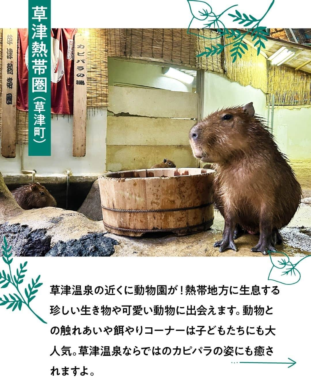 現地発信の旅行サイト「たびらい」さんのインスタグラム写真 - (現地発信の旅行サイト「たびらい」Instagram)「群馬県へのお出かけにぴったりの、家族で楽しめるレジャースポットをご紹介！  お得に楽しめる人気スポットから珍しい穴場まで、 見て・触れて・体験できるスポットをピックアップしました。  子供が楽しめる工夫がなされていたり、バリアフリーに配慮されたスポットもあり幅広い世代でのお出かけにおすすめです。  ▼ほかの投稿はこちらから📷 @tabirai  #草津熱帯圏 #碓氷峠鉄道文化むら #こんにゃくパーク #お出かけ #ファミリー #首都圏お出かけ #群馬お出かけ #群馬レジャー #草津観光 #安中観光 #たびらい #たびらいホテル #tabirai #たびらいレンタカー #tabirai_trip」11月17日 18時00分 - tabirai