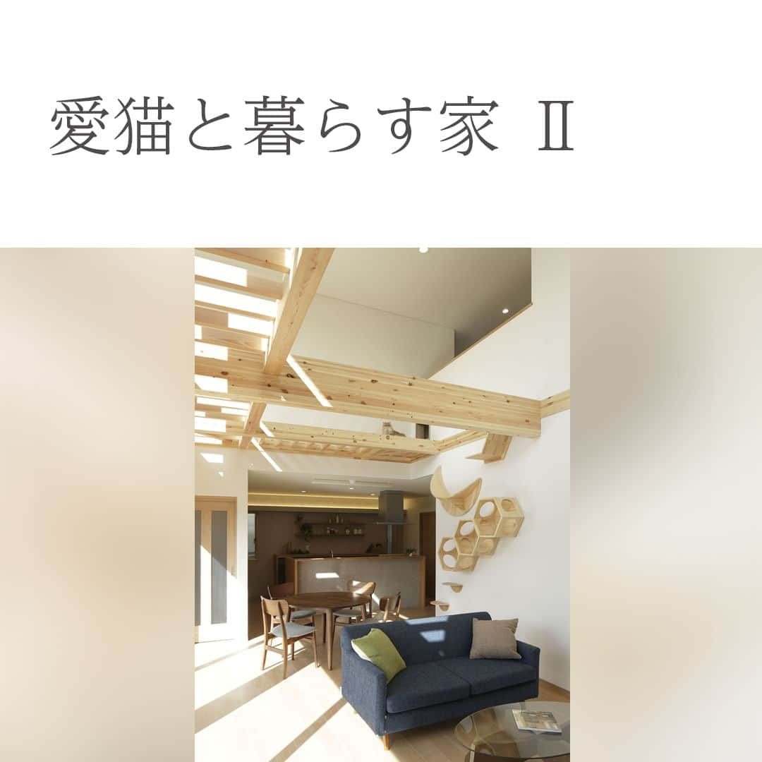 新進建設さんのインスタグラム写真 - (新進建設Instagram)「吹抜けのリビングを横切る大梁（おおはり）は キャットウォークに最適です。  愛猫と暮らすための工夫を散りばめました。  詳しい情報は プロフィールからHPへ ▶︎ @shinshinhomes -------------------------- 住まいに個性を #新進建設 新築戸建 リフォーム/リノベーション  ご質問ご相談等はDM・コメントへ お気軽にお申し付けください --------------------------  #新進 #新築戸建て #注文住宅 #ワンストップ #工務店 #秦野市 #平塚市 #小田原市 #猫家具  #キャットウォーク #猫のいる暮らし #吹き抜け #リビング #吹き抜けリビング #暮らしを楽しむ家づくり」11月17日 18時00分 - shinshinhomes