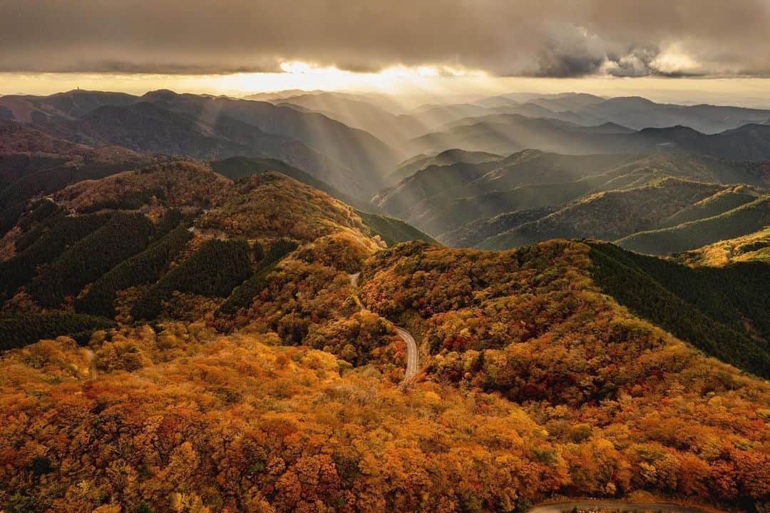 Visit Wakayamaのインスタグラム：「. It's easy to see why the Kumano region is called ""land of the gods."" Follow the skyline road to Koyasan for heavenly views. 📸 @yamaguci_taro 📍 Koya-Ryujin Skyline Road, Wakayama . . . . . #discoverjapan #unknownjapan #instajapan #landscape #japan #japantrip #japantravel #beautifuldestinations #wakayama #wakayamagram #explore #adventure #visitwakayama #travelsoon #visitjapan #stayadventurous #igpassport #explorejapan #lonelyplanet #sustainabletourism #autumntravel #worldheritage #koyasan #autumninjapan #koyaryujinskyline #ryujinonsen #fallfoliage #roadtrip #fallcolors #japanesetemples」