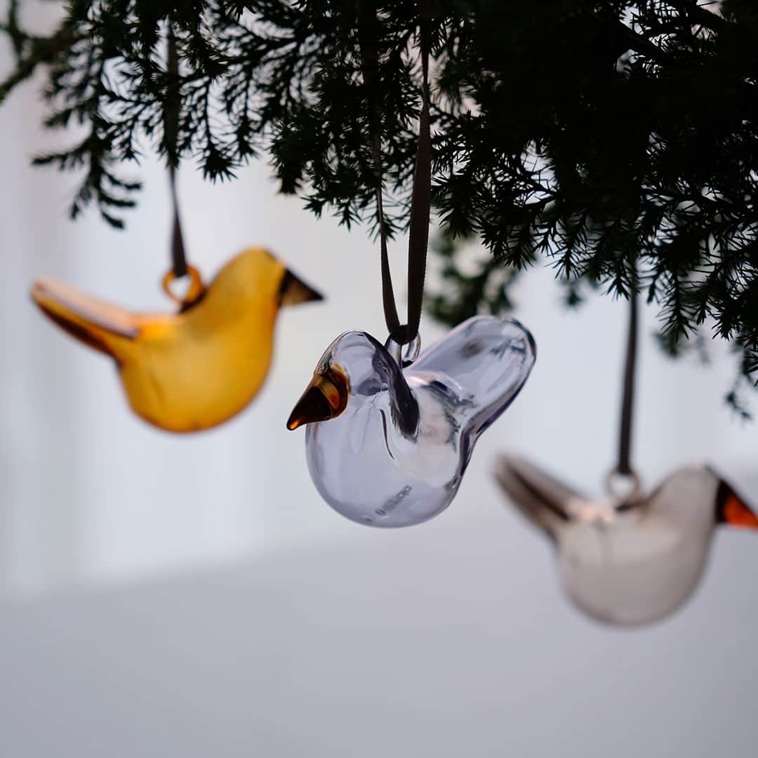 フリーデザインさんのインスタグラム写真 - (フリーデザインInstagram)「クリスマスの飾りつけに欠かせない、「イッタラ」の「オーナメント」に新デザインが仲間入りしました。  オイバ・トイッカが手掛けた「シエッポ／Flycatcher」をモチーフにした「バード」は、木や枝から吊るしてみると、バードたちが仲良く空を飛んでいるようにみえる愛らしいデザインです。  さらに、アルヴァ・アアルト生誕125年を記念してつくられた、2023年冬季限定の「オーナメントボール2023　アアルト」も新登場。ホワイトの有機的な装飾がエレガントな雰囲気を演出します。  「アップル」と「ミニ オーナメントボール　５個セット」には新色「ブラウン」も追加。 当店では通常３個セットの「アップル」と「バード　レッド」を単品で販売しています。お好きなカラーを１個から手に入れることができるので、自分だけの特別なオーナメントセットをつくってみてはいかがでしょうか。  ほのぼのとしたデザインでありながら、ガラス特有の上品さがあり、子どもから大人まで楽しめるのが魅力です。 ぜひイッタラのオーナメントでクリスマスの飾りつけを楽しんでみてください。  ▼詳細はプロフィールのリンクからご覧いただけます。 → @freedesign_jp  【取扱店舗】 オンラインショップ 吉祥寺店  #イッタラオーナメント #iittala #イッタラ #オーナメント #オーナメントボール #クリスマスオーナメント #ガラスオーナメント #オイバトイッカ #oivatoikka #ガラスアップル #ガラスバード #クリスマスインテリア #クリスマスツリー飾り付け #クリスマス飾り#クリスマスの飾り #クリスマスギフト #クリスマス雑貨 #クリスマス準備 #北欧インテリア雑貨 #北欧雑貨好き #北欧雑貨と暮らす #日々の暮らしを楽しむ #暮らしをたのしむ #暮らしを彩る #フリデザ #フリーデザイン #freedesign_jp」11月17日 18時00分 - freedesign_jp
