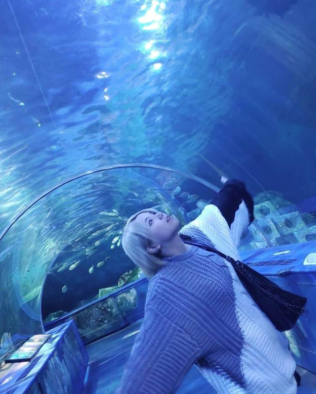 馨君さんのインスタグラム写真 - (馨君Instagram)「品川水族館🐬  #アイドル  #アイドルデビュー  #馨くん  #コスプレ  #コスプレイヤーの中身  #水族館  #水族館好きな人と繋がりたい  #サメ好き」11月17日 18時09分 - kaworu_331