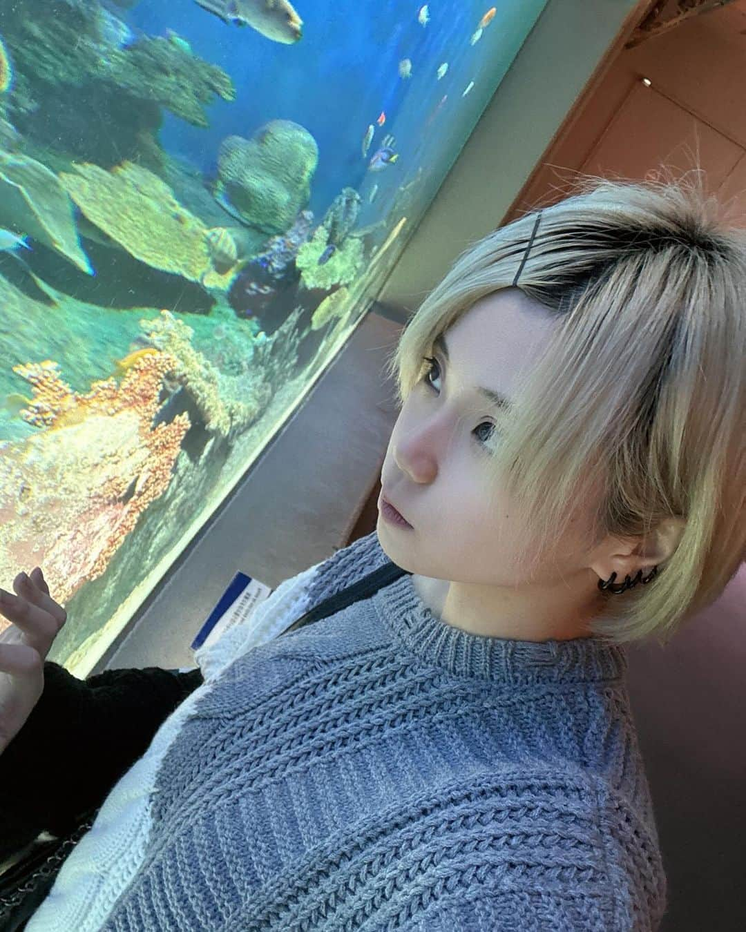 馨君さんのインスタグラム写真 - (馨君Instagram)「品川水族館🐬  #アイドル  #アイドルデビュー  #馨くん  #コスプレ  #コスプレイヤーの中身  #水族館  #水族館好きな人と繋がりたい  #サメ好き」11月17日 18時09分 - kaworu_331