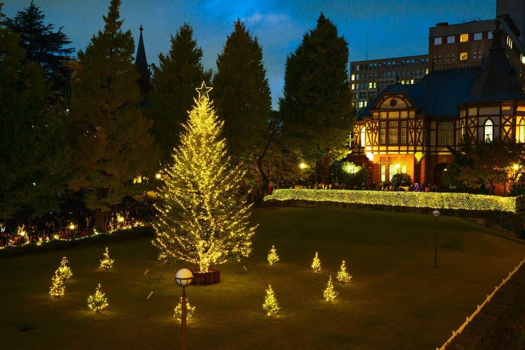 Meiji Gakuin/明治学院大学/明学さんのインスタグラム写真 - (Meiji Gakuin/明治学院大学/明学Instagram)「＼🎄 #明学のクリスマス🎄／  白金キャンパスのクリスマスツリーが点灯しました✨ 今年もこの季節がやってきましたね💝  白金キャンパスのツリーの点灯は1/6(土)まで。 ツリーの光を見て、 心温まるひと時を過ごせますように☺️  #明治学院大学 #白金キャンパス #白金 #明学 #明治学院 #明学ライフ #メイガク #メイガクライフ #大学 #授業 #勉強 #チャペル #秋学期 #秋学期もがんばろう #meijigakuinakuinuniversity #meijigakuin #university #photography #photographer #クリスマス #クリスマスツリー #クリスマスまであと少し」11月17日 18時20分 - mguniv