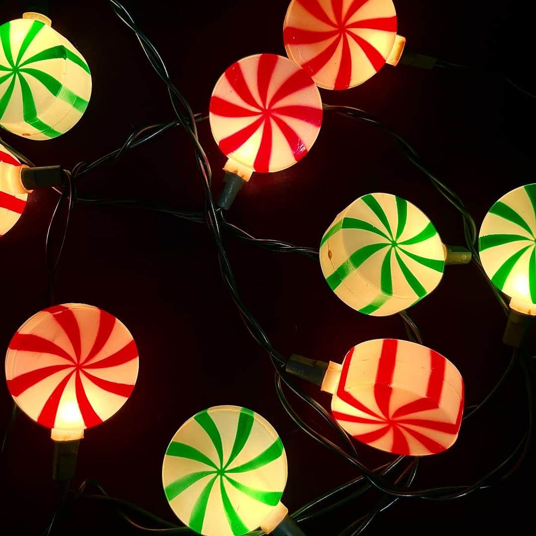 おもちゃやSPIRALのインスタグラム：「Vintage Candycane Party Lights入荷しました🍭  Christmas🎄にも是非✨」