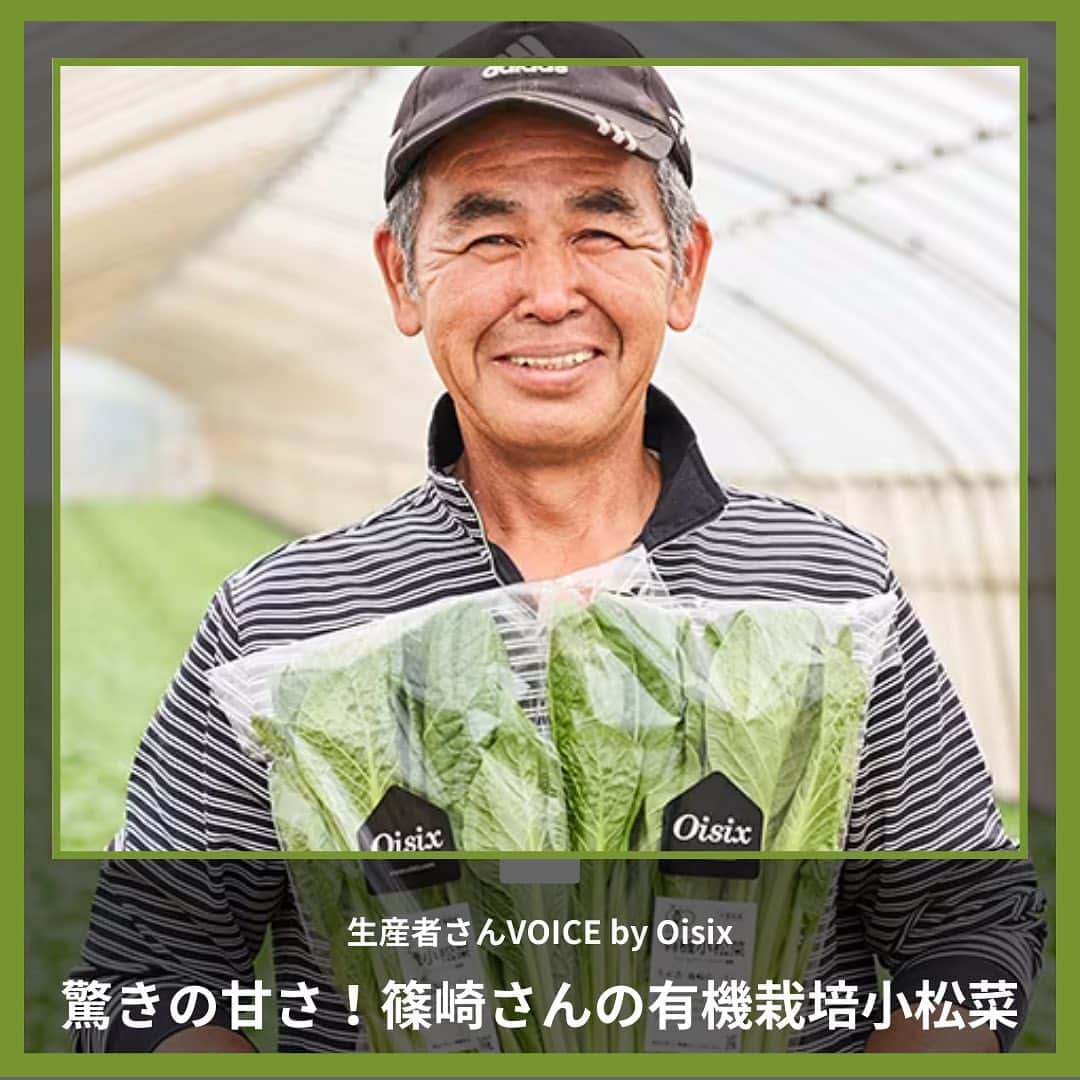 オイシックスのインスタグラム：「本日ご紹介するのは「篠崎さんの有機栽培小松菜」🥬✨  JAS認定有機栽培で育てた小松菜は、化学肥料も不使用。通常よりも少し大きめに育てることでえぐみがなくなり、生でも食べられるほどの甘みとシャキシャキ感を実現☀️🍽️  「篠崎さんの有機栽培小松菜」ならではのおいしさを、ぜひ一度お試しください🤤✨  #oisix #オイシックス #oisixのある生活 #おうちごはん #ていねいな暮らし #有機野菜 #有機栽培 #化学肥料不使用 #安心 #安心安全 #野菜 #野菜サラダ #生野菜 #小松菜 #小松菜レシピ #苦手克服 #生産者さんの声 #産地訪問」