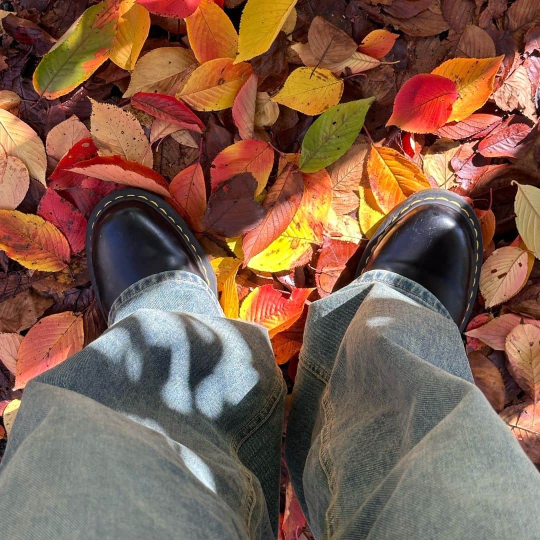 のインスタグラム：「🍂」
