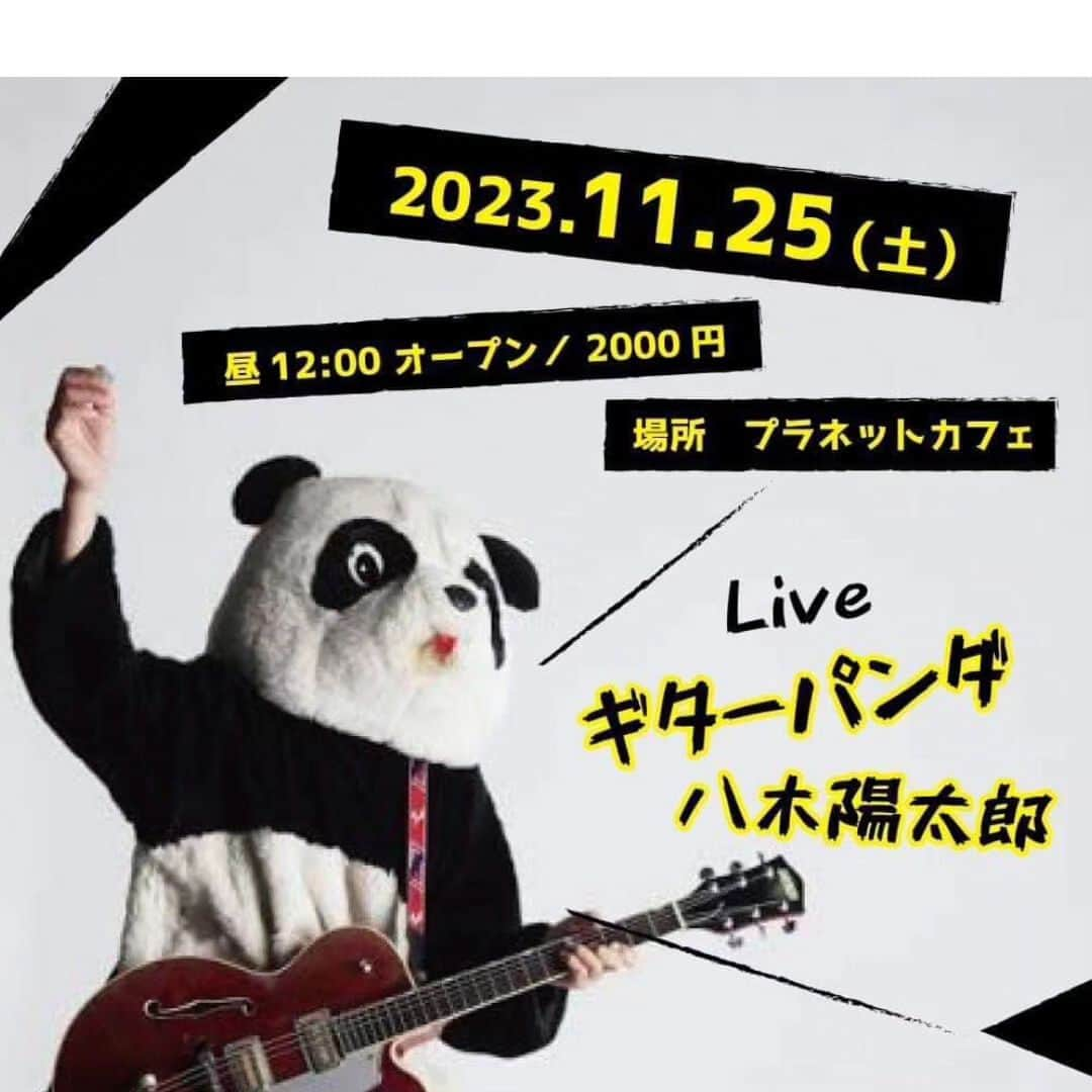 山川のりをさんのインスタグラム写真 - (山川のりをInstagram)「2023年11月ギタパンライブ2回し目は明日11月18日所沢ニジハレ食堂から始まり東京、神奈川、静岡を回ります。明日ニジハレ食堂と明後日ぎびつみは売り切れです。その後は空いてます。詳しくはhttps://guitarpanda.net/schedule/index.php お近くの方は慎重に会いに来てアイニージュー！」11月17日 18時44分 - norioyamakawa