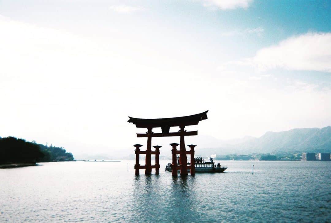 奥貫薫さんのインスタグラム写真 - (奥貫薫Instagram)「.  修学旅行に出かけた広島で 息子が撮ってきた写真 あの子はこんなふうに世界を見つめているんだなぁ  フィルムの写真ってやっぱり素敵  #写ルンです」11月17日 18時44分 - kaoru_okunuki