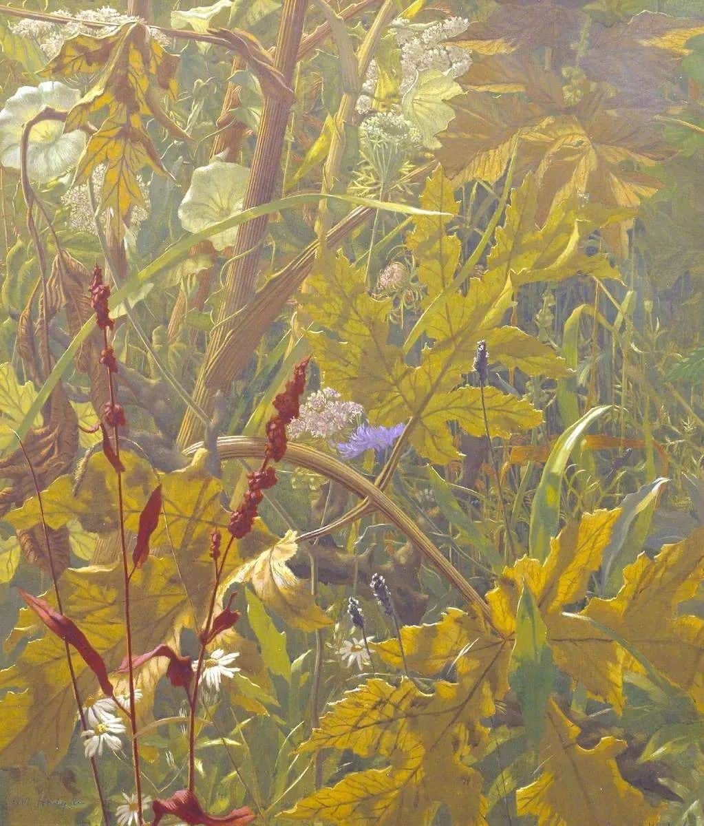 テート・ギャラリーのインスタグラム：「'What I want to paint are the things that have been seen so often that people no longer notice them.' - Eliot Hodgkin  Hodgkin’s ‘Undergrowth’ was painted in London in 1941 during the artist's days off while serving as an air-raid warden. He used drawings of plants and flowers made near Purley, Berkshire, to create the painting. ‘I try to show these things exactly as they are, yet with some of their mystery and poetry, and as though seen for the first time.' 🍃  Eliot Hodgkin, Undergrowth, 1941, Tate collection.」