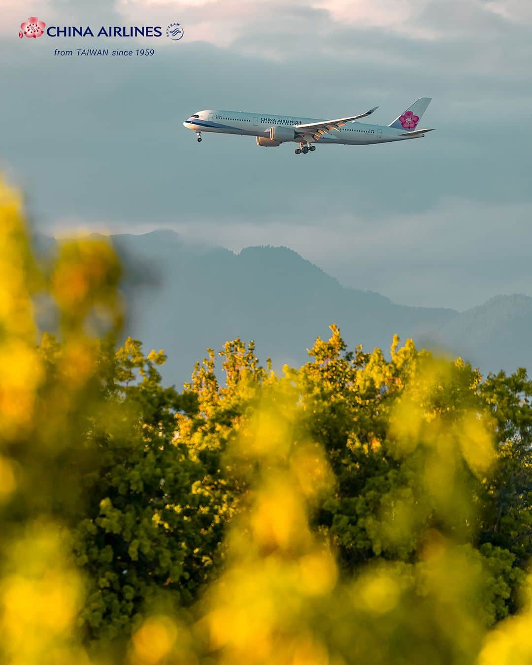 日本地区チャイナ エアラインのインスタグラム：「【Beautiful Picture of Airplane】　  空は無限に広がるキャンバスのようなもの✈ そこから旅が始まります🌈  📷 : @aviate_ty (Instagram) ✈ :  A350-900  📍 :  バンクーバー  ＜公式HP＞ https://goo.gl/vif8Qp  #chinaairlines #中華航空 #台湾 #台湾旅行 #台湾好きな人と繋がりたい  ------------------------------------------------- DFPに入会するとバースデーディスカウント等のうれしい特典が盛りだくさん！ ご入会はコチラ👉　https://bit.ly/3YIQ7cl」