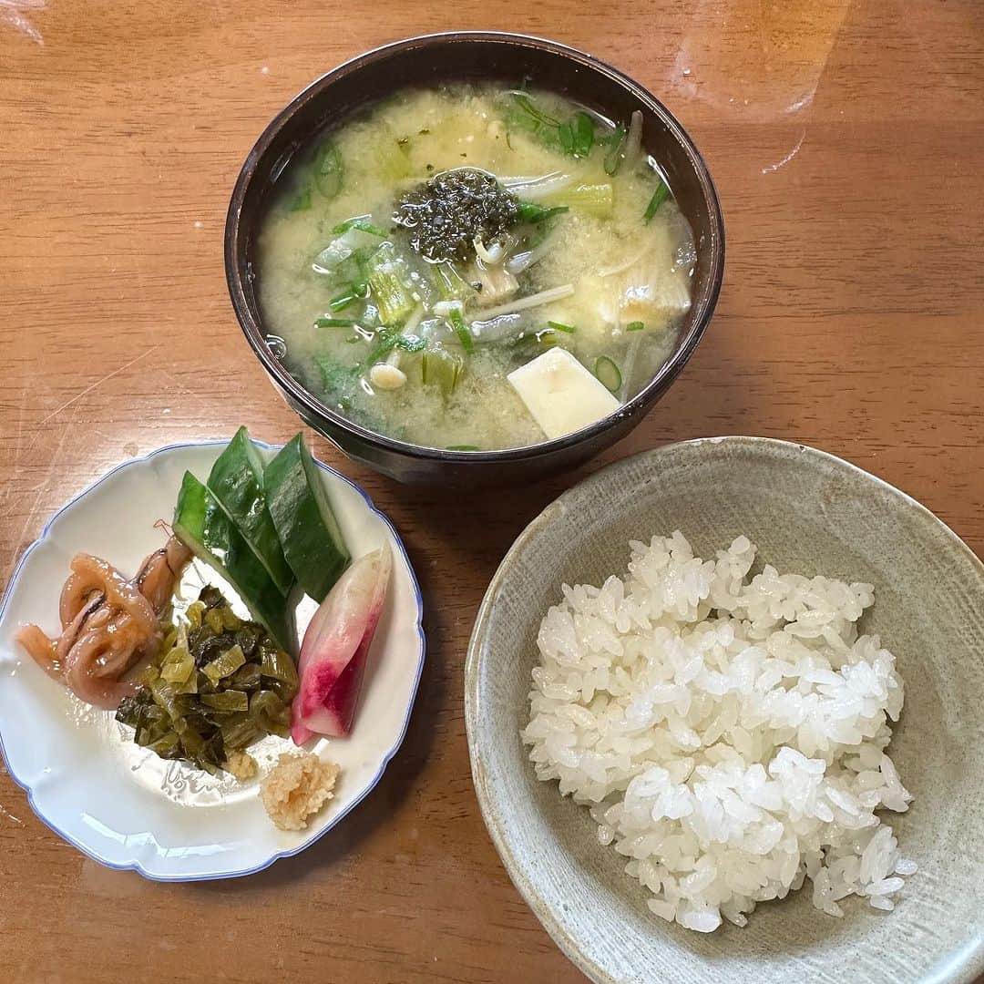 堀田祐美子さんのインスタグラム写真 - (堀田祐美子Instagram)「朝食。  佐賀の新米  白飯が美味しいと漬物と味噌汁で大満足！！  @yumiko_hotta  @t_hearts2020  #堀田祐美子 #yumikohotta  #prowrestling  #プロレス #womansprowrestling  #女子プロレス  #hearts82 #thearts  #佐賀米 #新米」11月17日 19時08分 - yumiko_hotta