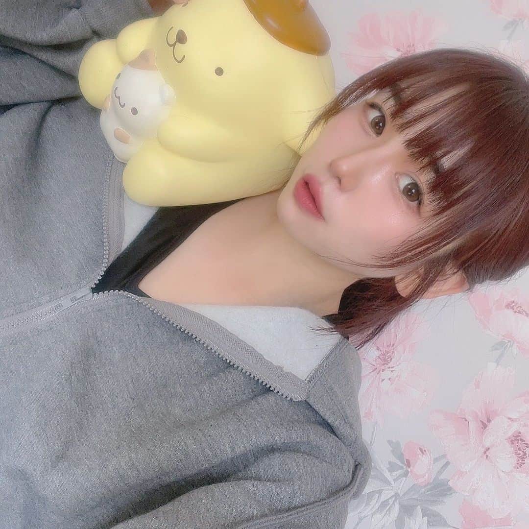 桜川ひめこのインスタグラム：「シーインで買ったパーカー楽で、とても良い🥹🎀 服は楽がすき(((∩'ω'∩))) 毎日これでも良いです♡。  めろんにゃん（👶）の発熱２日目🥲 雨が降っていたので、なんとなくホッとする。。。  雨の日は外に出なくていいって言われてるみたいで、ホッとします(｡>ω<｡)☔️ （そもそもお熱なのでお外出ないけれど） みんなはそんなことないかな？  #idol #アイドル　#アキバ系アイドル　#レジェンドアイドル　#legendアイドル　#シーイン  #シーイン購入品」