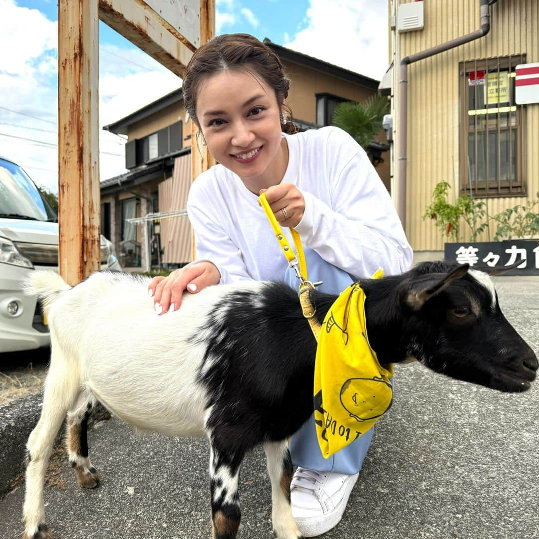 テレビ東京のインスタグラム