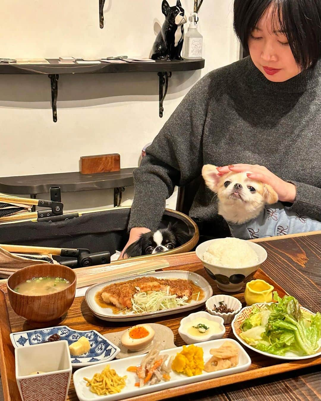 下平夏奈のインスタグラム：「吉祥寺のわんこ同伴OK !! お洒落で美味しい定食屋さん☺️  @pololi_shokudo  ランチもディナーも楽しめる♪ JR吉祥寺駅から徒歩3分のところにある 『polori食堂とpiha kopi』さん🐟  メインのお料理+季節の小鉢が7〜8品 炊き立てのツヤツヤごはんと お出汁の効いたお味噌汁がついています!!  今回いただいたのは、 ＊ ジンジャーポーク定食 1,650円 ＊ 100%りんごジュース  440円  栄養満点、野菜も沢山食べられる ボリューミーな定食♪お皿も可愛かったな😌  どれもとにかく美味しくて感動でした🥺 心も身体もほっこり♨️満たされました‼︎  ワンちゃんはテーブル席のみOK🐶 ↑事前予約がオススメです‼︎ カートorバッグに入って来店できます♪  吉祥寺のワンちゃんOKな飲食店は 数少ないので、ピノパルと一緒に行けてとても嬉しい🥹  他にも気になるメニューが沢山！ また食べに行こうと思います♪  お店へ行く際は、電話予約がオススメです⭐︎  PR @pololi_shokudo #pololi食堂とpihakopi #吉祥寺定食 #吉祥寺ランチ #吉祥寺ディナー #吉祥寺グルメ #ワンコOK  #犬とランチ #ペット同伴カフェ #ペット同伴可」