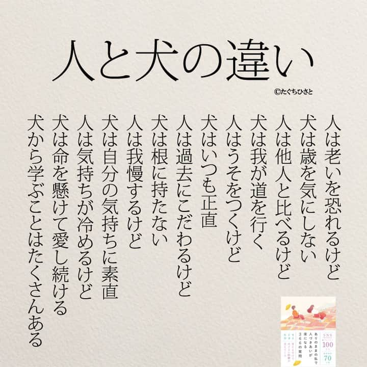 yumekanauのインスタグラム：「もっと読みたい方⇒@yumekanau2　後で見たい方は「保存」を。皆さんからのイイネが１番の励みです💪🏻役立ったら、コメントにて「😊」の絵文字で教えてください！ ⁡⋆ なるほど→😊 参考になった→😊😊 やってみます！→😊😊😊 ⋆ ⋆ #日本語 #名言 #エッセイ #日本語勉強 #ポエム#格言 #言葉の力 #教訓 #人生語錄 #道徳の授業 #言葉の力　#ペット #人生 #人生相談 #あなたのままでいい  #人と犬の違い #人間関係 #犬好き 　#家族　#犬の一生 #犬のいる生活」