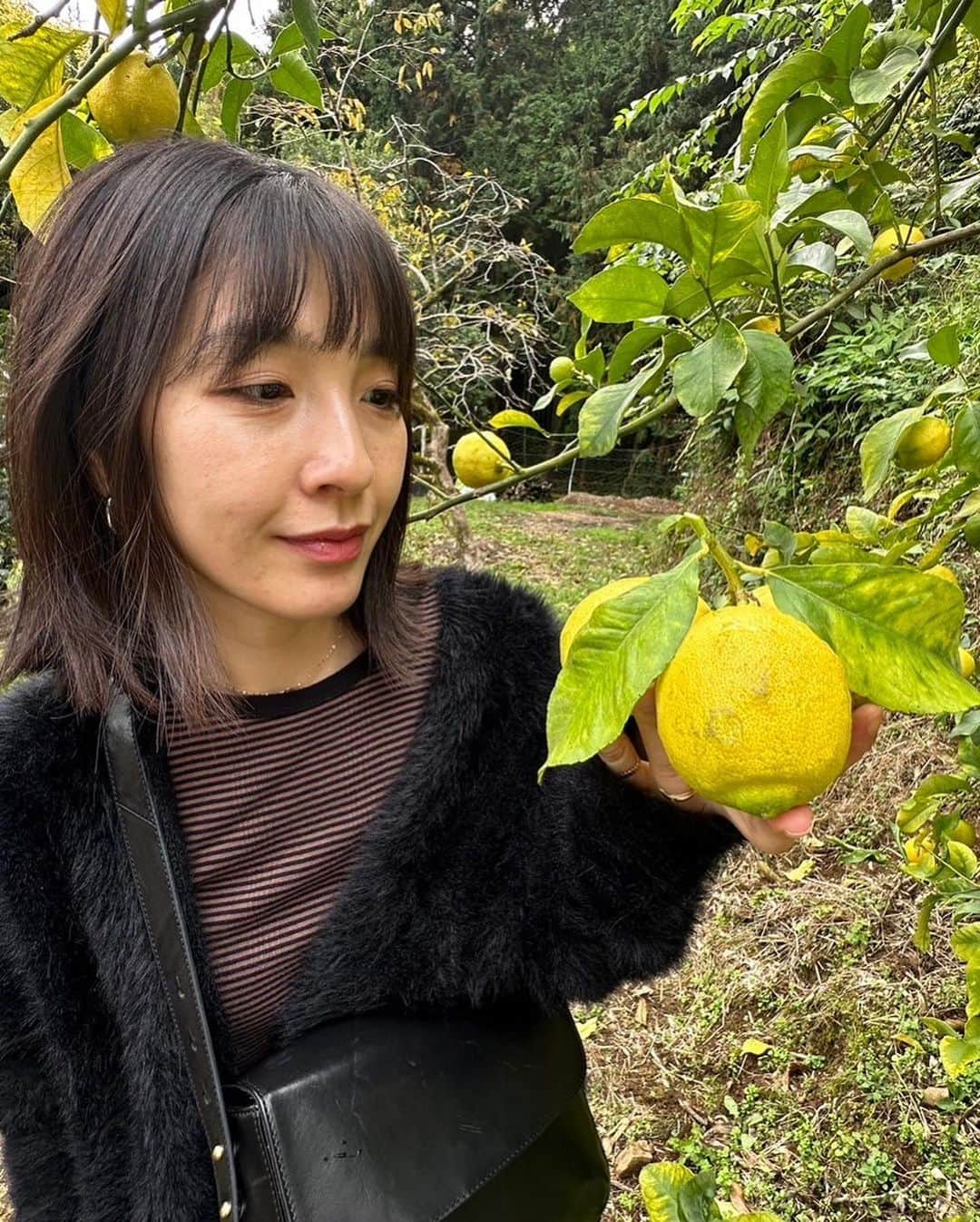 川口花乃子のインスタグラム：「🍋🍋🍋🍋🍋🫶💕 #lemon #収穫」