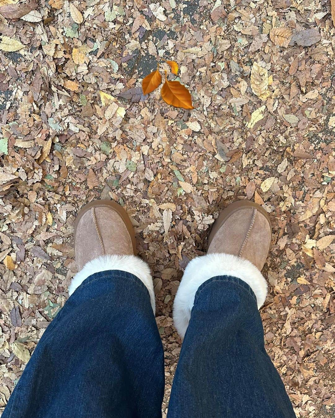 横田亜美さんのインスタグラム写真 - (横田亜美Instagram)「. イチョウ並木はまだまだ 緑だった🍂🍁🟢 . EVRISのデニムボアブルゾン ZOZOTOWNで販売中だよ🌼💙 . . 🔗 https://zozo.jp/shop/evris/goods-sale/75985990/?did=124405823 @evris_official @evris_snap_official #PR #EVRIS #ボアジャケット #ジャケットコーデ #ジャケット #デニム #アウター #ブルゾン #外苑前いちょう並木 #外苑前 #イチョウ並木 #いちょう #銀杏並木」11月17日 19時33分 - amimi0218