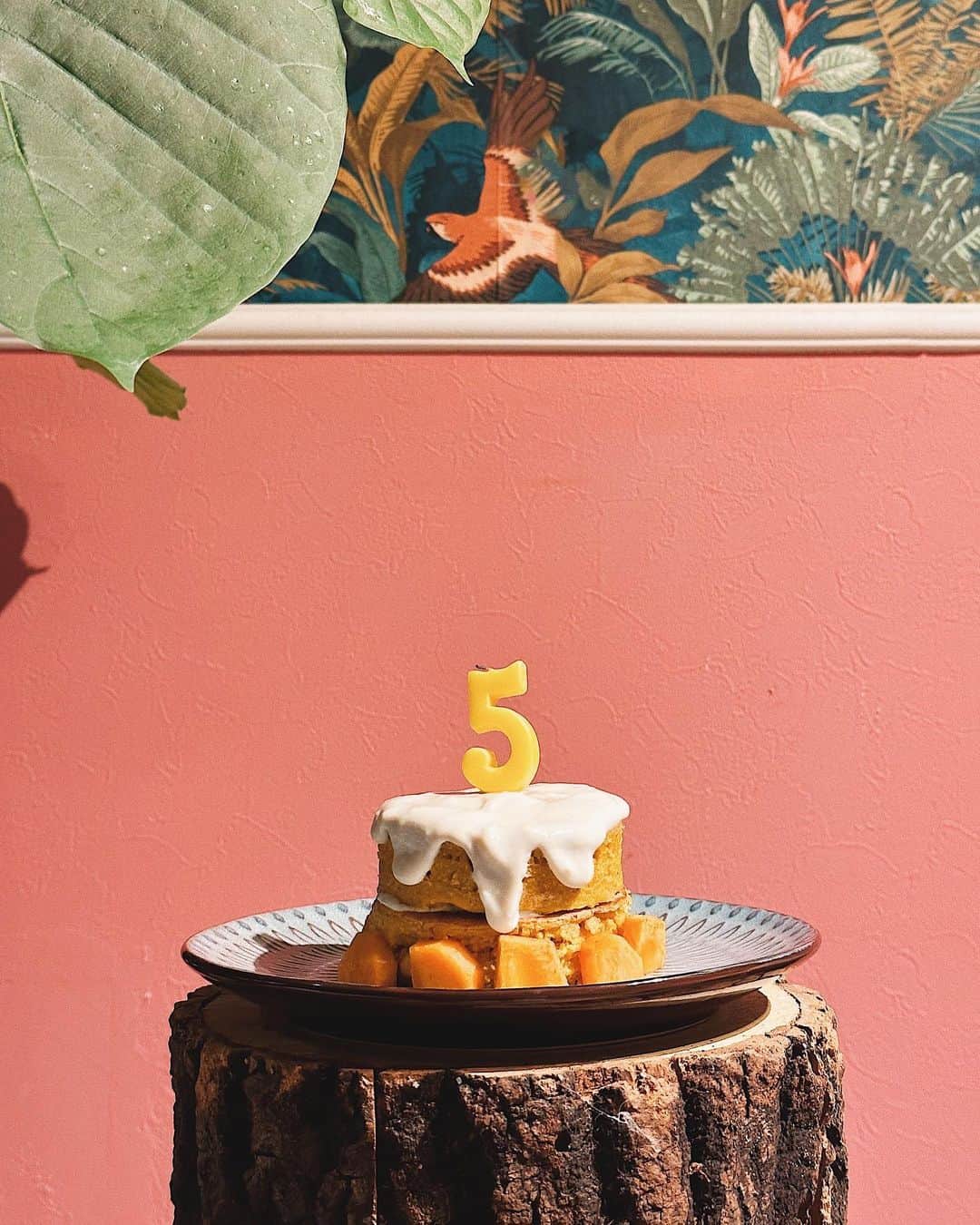juntowaさんのインスタグラム写真 - (juntowaInstagram)「ふぐたと甚六5歳になりました！#🎂#一生甘えん坊#兄弟  誕生日ケーキ買い忘れたから かぼちゃとオートミールで作ったよ。 美味しいって喜んでたから忘れたことはチャラだよね。」11月17日 19時36分 - juntowa