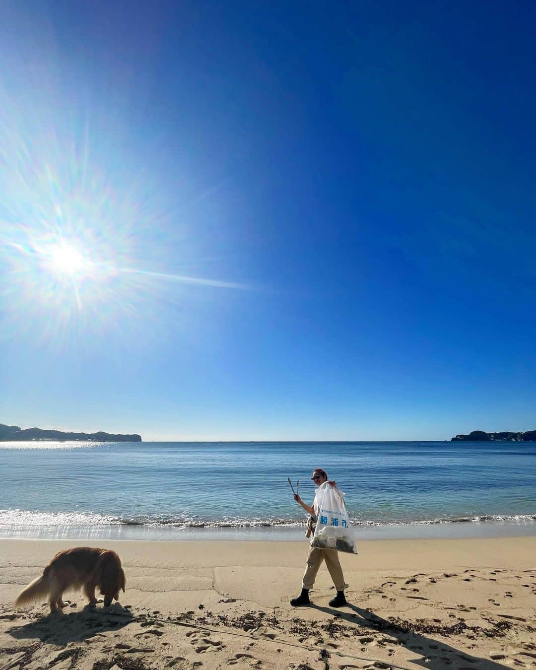 中島潮里さんのインスタグラム写真 - (中島潮里Instagram)「【cleanup報告】 勝浦市中央海岸(マリブ)のcleanupしてきました！ いつも帰省するたびにゴミが多くて拾いきれず、、 ビーチ内にある公園にはタバコだらけ🚬 不法投棄？なのか、なかなか新しい生活ゴミとペットボトルの山、、 今回は母と妹も一緒に拾ってくれました❤️‍🔥ありがとう❤️‍🔥 バレーボールまで🏐捨てられてたっ！🫠 勝浦市はゴミ拾い用のゴミ袋もらえます！！！ . "ゴミ拾い"は"福拾い"👽💫 . . #千葉県勝浦市#勝浦漁港#勝浦中央海水浴場#わんことお出かけ#ダルメシアン大好き#ダルメシアン#ダルメシアンコーデ#ダルメシアンのいる暮らし#ゴールデンレトリバー多頭飼い#ゴールデンレトリバーとの暮らし#マリブ#勝浦マリブ#cleanupchallenge#ビーチクリーン#ビーチクリーン活動#ビーチクリーン#クリーンナップ#ゴミ拾い活動」11月17日 19時44分 - whyte_shiori