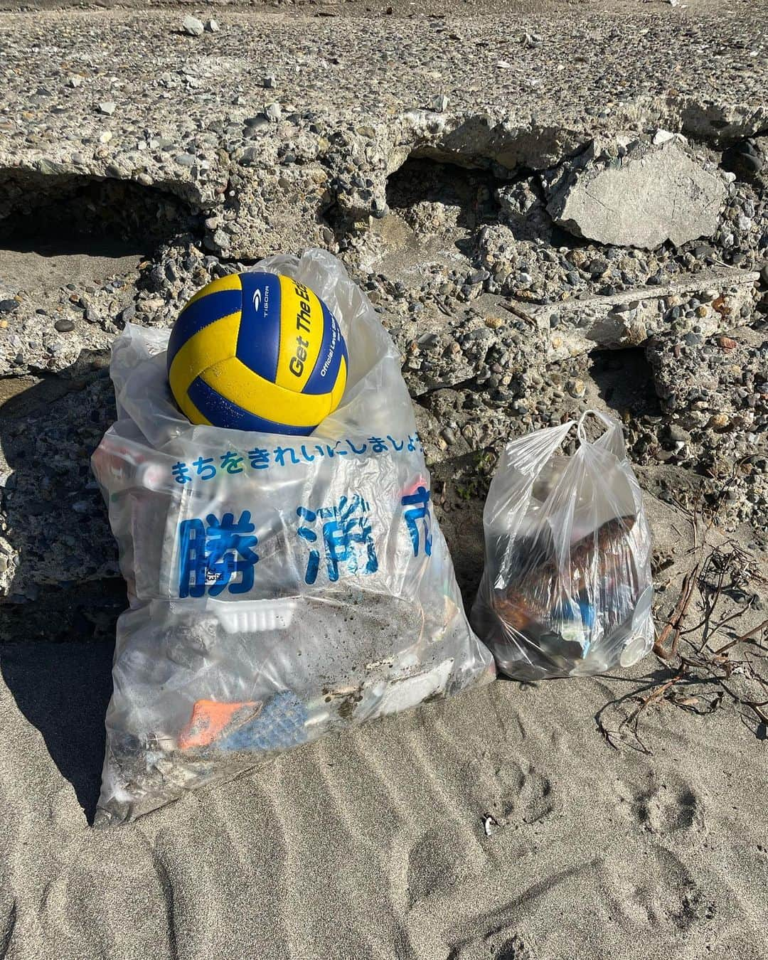 中島潮里さんのインスタグラム写真 - (中島潮里Instagram)「【cleanup報告】 勝浦市中央海岸(マリブ)のcleanupしてきました！ いつも帰省するたびにゴミが多くて拾いきれず、、 ビーチ内にある公園にはタバコだらけ🚬 不法投棄？なのか、なかなか新しい生活ゴミとペットボトルの山、、 今回は母と妹も一緒に拾ってくれました❤️‍🔥ありがとう❤️‍🔥 バレーボールまで🏐捨てられてたっ！🫠 勝浦市はゴミ拾い用のゴミ袋もらえます！！！ . "ゴミ拾い"は"福拾い"👽💫 . . #千葉県勝浦市#勝浦漁港#勝浦中央海水浴場#わんことお出かけ#ダルメシアン大好き#ダルメシアン#ダルメシアンコーデ#ダルメシアンのいる暮らし#ゴールデンレトリバー多頭飼い#ゴールデンレトリバーとの暮らし#マリブ#勝浦マリブ#cleanupchallenge#ビーチクリーン#ビーチクリーン活動#ビーチクリーン#クリーンナップ#ゴミ拾い活動」11月17日 19時44分 - whyte_shiori