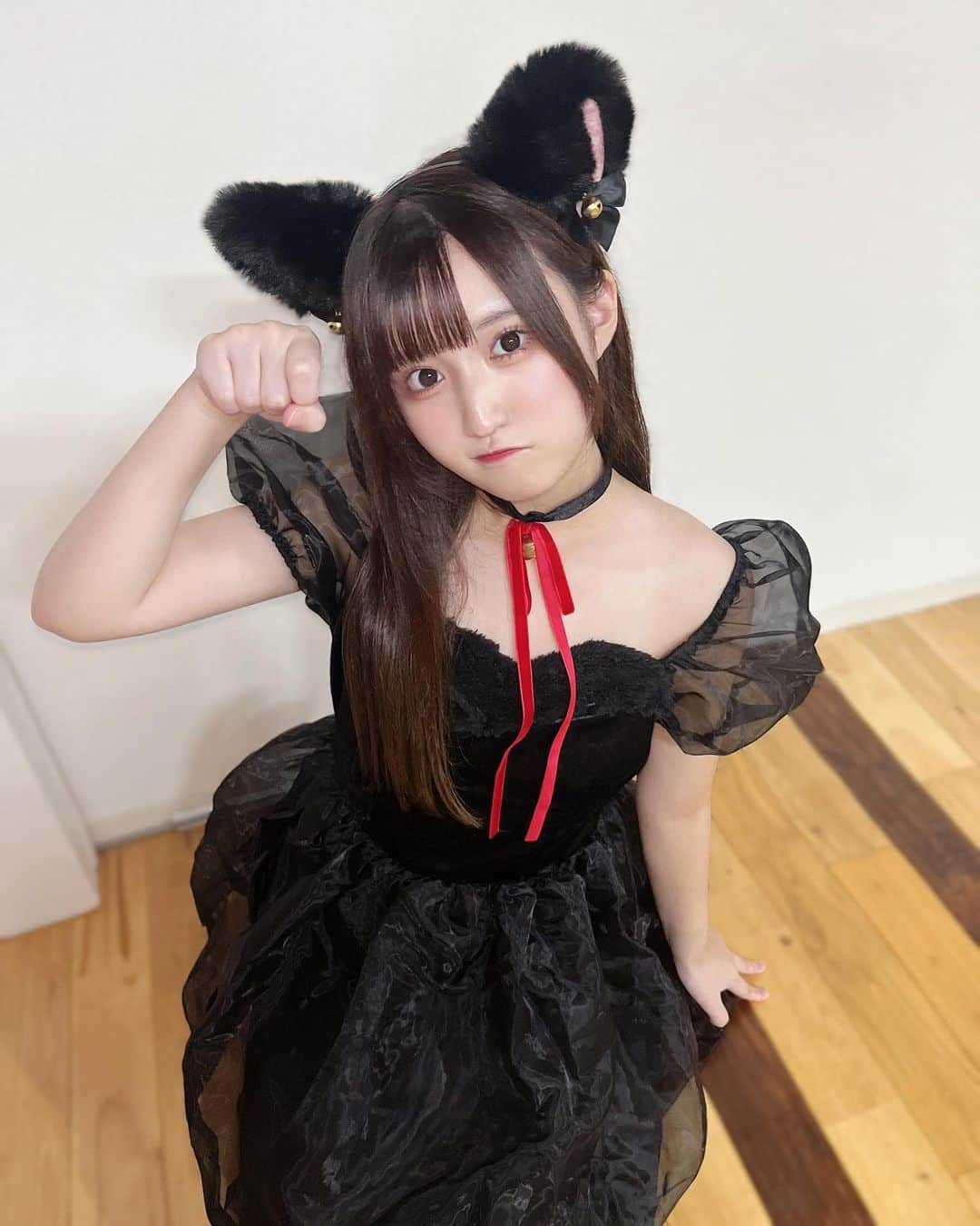 野田陽菜乃のインスタグラム：「飼い猫にして🐈‍⬛🎀  #ネコ#猫#ねこ#ネココスプレ#コスプレ#動物コスプレ#黒猫#猫耳#ネコミミ#耳#ペット#飼い猫#アイドル#君とセレンディピティ#君セレ#野田陽菜乃#東京#三重#黒髪#ストレートヘア#低身長#低身長女子」