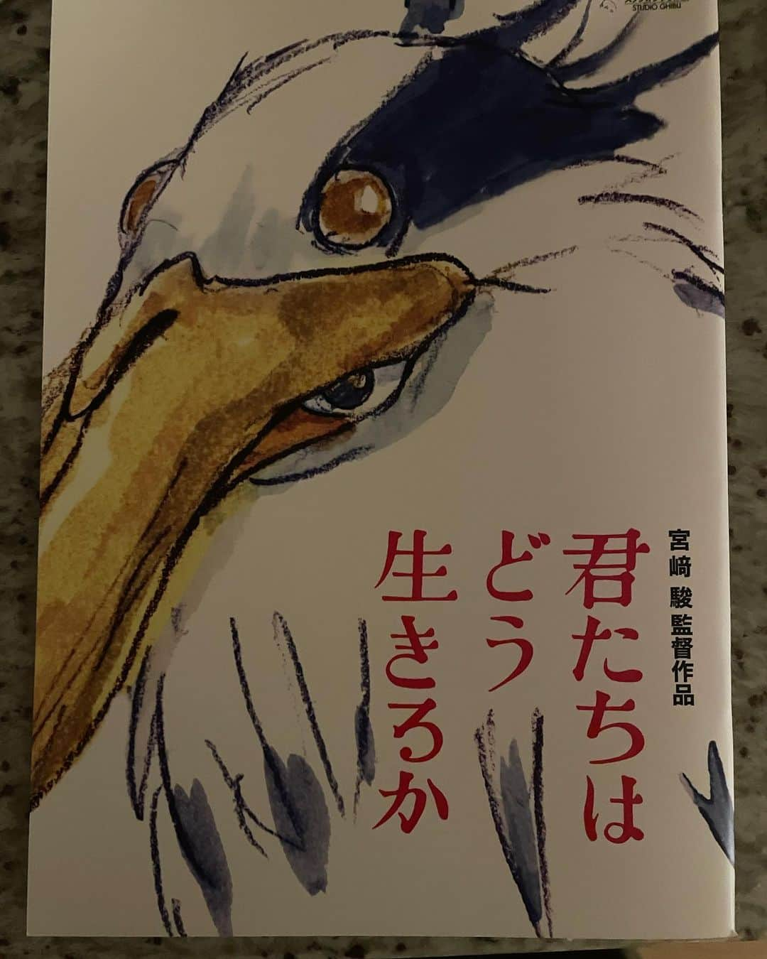 石田ゆり子のインスタグラム：「本当に遅ればせながら、先日やっと観ることができた。命の終わりと始まり。そして生まれることと死ぬこと。出会いの意味。 目に見えていることと、見えないことの間にあるもの。 胸がいっぱいになって、幸せな気持ちになりました。絶対もう一度観たい。 #君たちはどう生きるか」