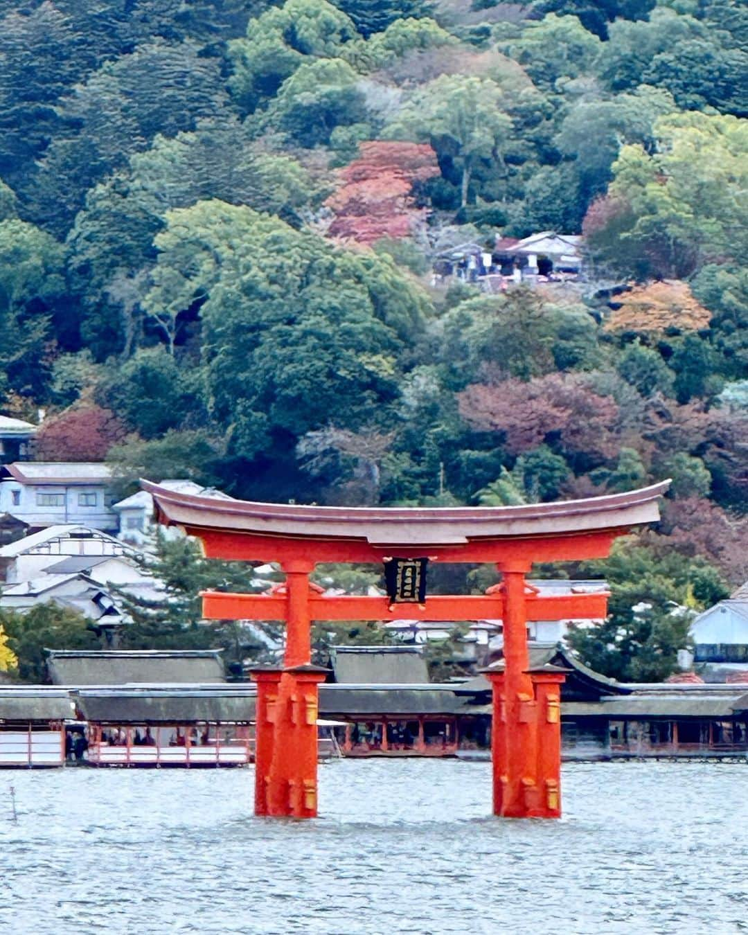 山崎陽子のインスタグラム：「広島1日目 満潮の宮島、厳島神社へお詣りに。 平家滅亡の地、壇ノ浦の向かいで育ち、 72年の大河ドラマ「新平家物語」の大ファンだった私は、 平清盛というと仲代達矢の顔しか浮かんでこない。 #宮島 #厳島神社 #厳島神社大鳥居 #穴子丼  奢れる人も久しからず　ただ春の夜の夢のごとし✨」