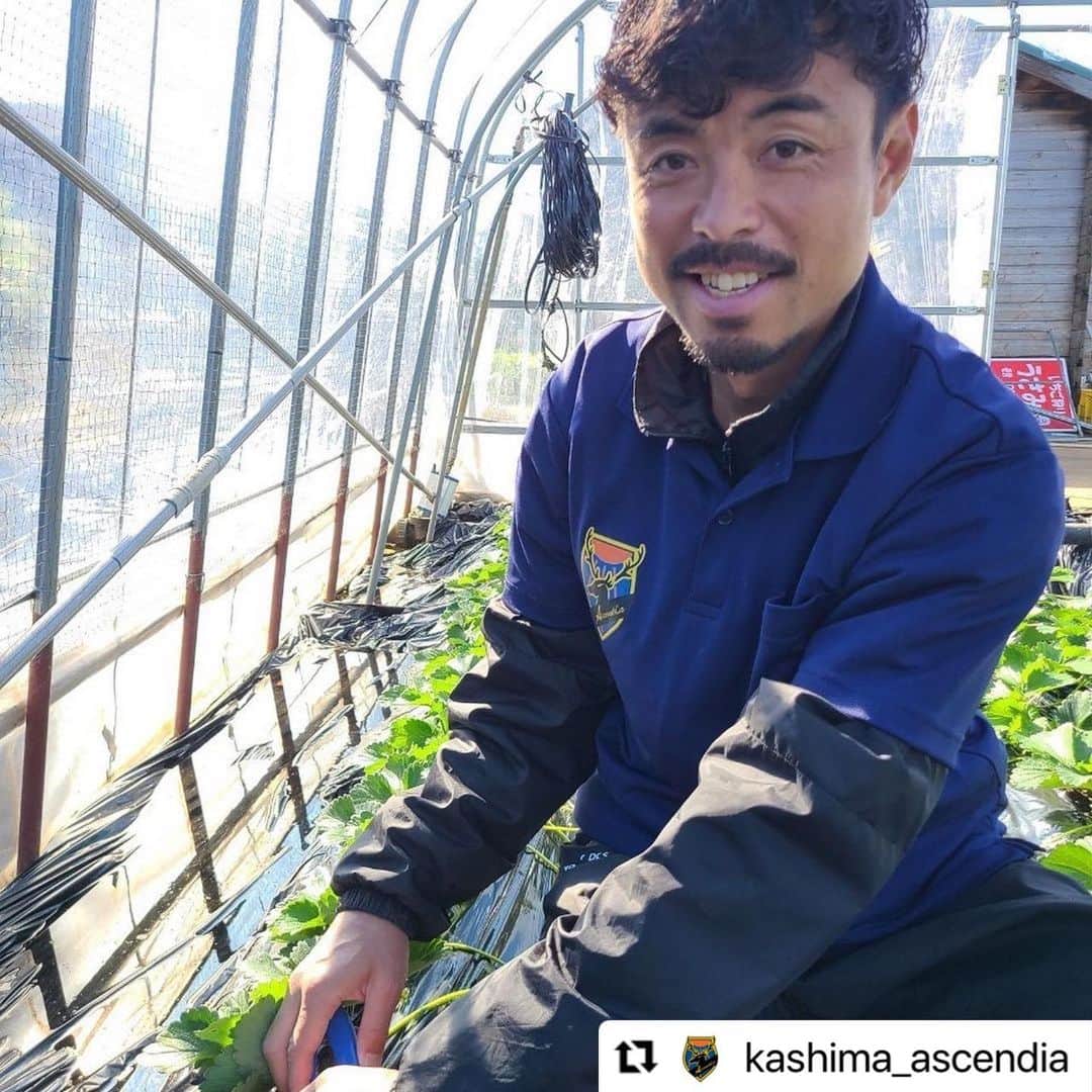 青木剛さんのインスタグラム写真 - (青木剛Instagram)「『うさみ園』@1515usamien さんを訪問させていただきました🍓🍓🍓 これからの本格シーズンが楽しみです！ いつも応援ありがとうございます！ . #Repost @kashima_ascendia with @use.repost ・・・ 【パートナー訪問】  Ascendiaパートナーである、うさみ園 様を表敬訪問させていただきました！  また、 クリスマス〜春にかけていちごの本格シーズンを迎えるにあたり、半日いちご農家体験もさせていただきました🍓  うさみ園 様は『茨城いちごグランプリ』で大賞を受賞されているいちご農家さんです！ 本当に美味しいので、いつもついつい買いすぎちゃいます😅  保温力を保つため、毎年ビニールハウスの交換から畝を作り、葉っぱを剪定しながら(これが結構難しい)、保温のためにマルチ(黒いビニール)を被せて、、、  近年の異常気象対策などもしながら 美味しいいちごの裏には、本当に多くの準備や苦労があることが分かります…！  ほんの少しですが、作業もお手伝い🧤 天候と相談しつつ、繊細な仕事をクオリティを保ちながらやっている農家さん。頭が下がります。  これからいちごができるのが楽しみです！ また店頭販売が開始になりましたら1日店長等あるかもしれませんので、その際はよろしくお願いいたします🙇‍♂️  @1515usamien  いつもサポートありがとうございます！ 今後ともよろしくお願いいたします！  《📣オフィシャルトップパートナー☀️》 ☆六左衛門 様 (@rokuza.emon)  【📣オフィシャルメディアパートナー💻】 ☆Locoty 様 (@locoty_rokko)  【📣オフィシャルパートナー🦌】 ☆ツマギアンズ 様 (@tsumagians) ☆丸三老舗 様 (@marusanrouho) ☆うさみ園 様 (@1515usamien) ☆株式会社スミエイ 様 ☆アディッシュプラス株式会社 様(@takuma_is) ☆明盛宏産株式会社 様 (@meisei_kousan) ☆飯島自動車工業 様 ☆株式会社田口商事 様 ☆ミツギ写真 様(@mitsugishashin)  《📣オフィシャルトップサポーター☀️》 ☆トライレイクゴルフクラブ 様 (@goruhupuraza)  【📣オフィシャルサポーター🦌】 ☆くるりん森 様 (@kururinmori_kashima) ☆有限会社大川交通 様 ☆豆ぱん 様 (@mamepan5656) ☆K3Cafe 様 (@k3cafe) ☆おくだ鍼灸マッサージ院 様 (@okuda_kashima)  ☆鹿畑ポテト小屋 様 (@shikaclub) ☆みちくさ 様 (@michikusa_kashima) ☆遊酒宮なか 様 (@yuushumiyanaka) ☆有限会社誠和運輸 様 ☆REイッソクダイシｨｨｨｨ 様 ☆アクアショップアレンジ 様(@aqua_shop_arrange2021 ) ☆おおつき接骨院 様( @otsukisekkotsuin_kashima )  【📣オフィシャルサプライヤー👕】 ☆CALDEIRA 様 (@caldeira_tokyo) ☆BMZ 様 (@bmz_inc)  #鹿島Ascendia  @kashima_ascendia #フットゴルフ #パートナー様募集中  #FOOTGOLF #FOOTGOLFDREAM #感謝 @footgolfdream_official」11月17日 20時33分 - takeshiaoki15
