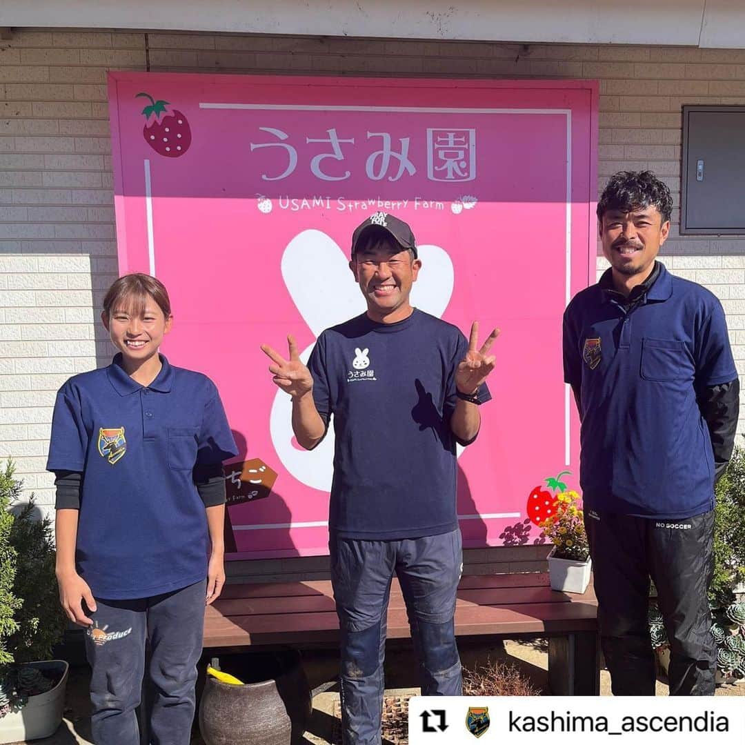 青木剛さんのインスタグラム写真 - (青木剛Instagram)「『うさみ園』@1515usamien さんを訪問させていただきました🍓🍓🍓 これからの本格シーズンが楽しみです！ いつも応援ありがとうございます！ . #Repost @kashima_ascendia with @use.repost ・・・ 【パートナー訪問】  Ascendiaパートナーである、うさみ園 様を表敬訪問させていただきました！  また、 クリスマス〜春にかけていちごの本格シーズンを迎えるにあたり、半日いちご農家体験もさせていただきました🍓  うさみ園 様は『茨城いちごグランプリ』で大賞を受賞されているいちご農家さんです！ 本当に美味しいので、いつもついつい買いすぎちゃいます😅  保温力を保つため、毎年ビニールハウスの交換から畝を作り、葉っぱを剪定しながら(これが結構難しい)、保温のためにマルチ(黒いビニール)を被せて、、、  近年の異常気象対策などもしながら 美味しいいちごの裏には、本当に多くの準備や苦労があることが分かります…！  ほんの少しですが、作業もお手伝い🧤 天候と相談しつつ、繊細な仕事をクオリティを保ちながらやっている農家さん。頭が下がります。  これからいちごができるのが楽しみです！ また店頭販売が開始になりましたら1日店長等あるかもしれませんので、その際はよろしくお願いいたします🙇‍♂️  @1515usamien  いつもサポートありがとうございます！ 今後ともよろしくお願いいたします！  《📣オフィシャルトップパートナー☀️》 ☆六左衛門 様 (@rokuza.emon)  【📣オフィシャルメディアパートナー💻】 ☆Locoty 様 (@locoty_rokko)  【📣オフィシャルパートナー🦌】 ☆ツマギアンズ 様 (@tsumagians) ☆丸三老舗 様 (@marusanrouho) ☆うさみ園 様 (@1515usamien) ☆株式会社スミエイ 様 ☆アディッシュプラス株式会社 様(@takuma_is) ☆明盛宏産株式会社 様 (@meisei_kousan) ☆飯島自動車工業 様 ☆株式会社田口商事 様 ☆ミツギ写真 様(@mitsugishashin)  《📣オフィシャルトップサポーター☀️》 ☆トライレイクゴルフクラブ 様 (@goruhupuraza)  【📣オフィシャルサポーター🦌】 ☆くるりん森 様 (@kururinmori_kashima) ☆有限会社大川交通 様 ☆豆ぱん 様 (@mamepan5656) ☆K3Cafe 様 (@k3cafe) ☆おくだ鍼灸マッサージ院 様 (@okuda_kashima)  ☆鹿畑ポテト小屋 様 (@shikaclub) ☆みちくさ 様 (@michikusa_kashima) ☆遊酒宮なか 様 (@yuushumiyanaka) ☆有限会社誠和運輸 様 ☆REイッソクダイシｨｨｨｨ 様 ☆アクアショップアレンジ 様(@aqua_shop_arrange2021 ) ☆おおつき接骨院 様( @otsukisekkotsuin_kashima )  【📣オフィシャルサプライヤー👕】 ☆CALDEIRA 様 (@caldeira_tokyo) ☆BMZ 様 (@bmz_inc)  #鹿島Ascendia  @kashima_ascendia #フットゴルフ #パートナー様募集中  #FOOTGOLF #FOOTGOLFDREAM #感謝 @footgolfdream_official」11月17日 20時33分 - takeshiaoki15