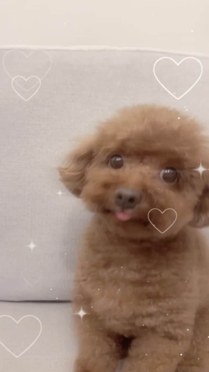 濱岸ひよりのインスタグラム