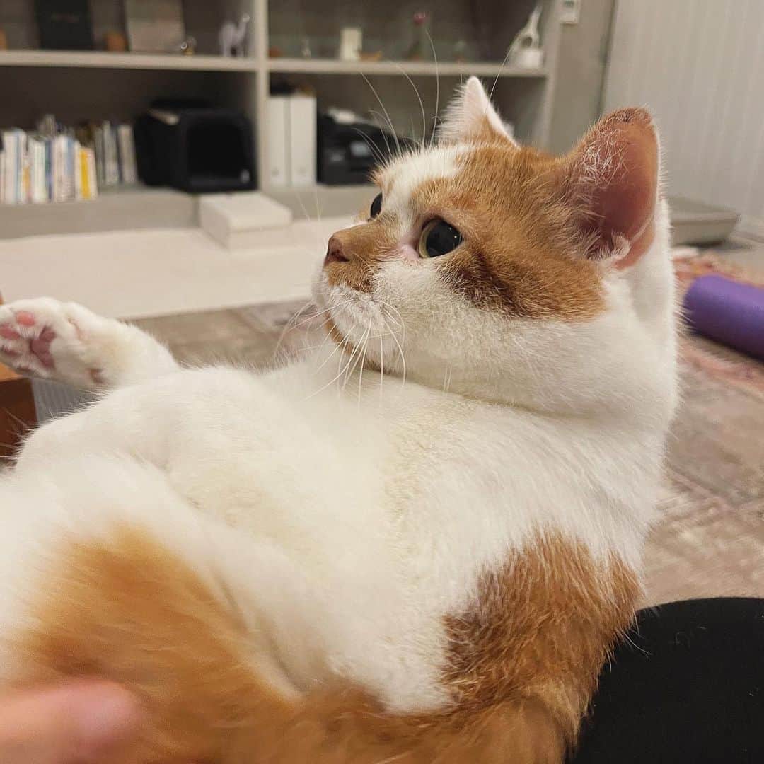 ミツバ&フックのインスタグラム