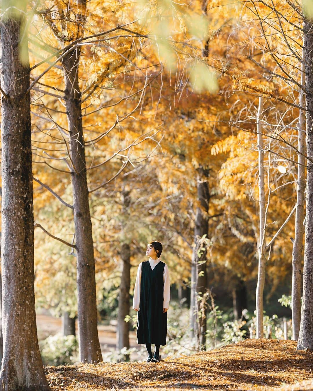 shinichi38のインスタグラム：「⁡ ⁡ ⁡ Fallen leaves 🍂 ⁡ ⁡ ⁡ Shot on Nikon Z7Ⅱ NIKKOR Z 135mm f/1.8S  Plena ⁡ ⁡ @nikonjp #PR #nikon #z7Ⅱ #NikonZⅡ #nikoncreators  #zcreators」