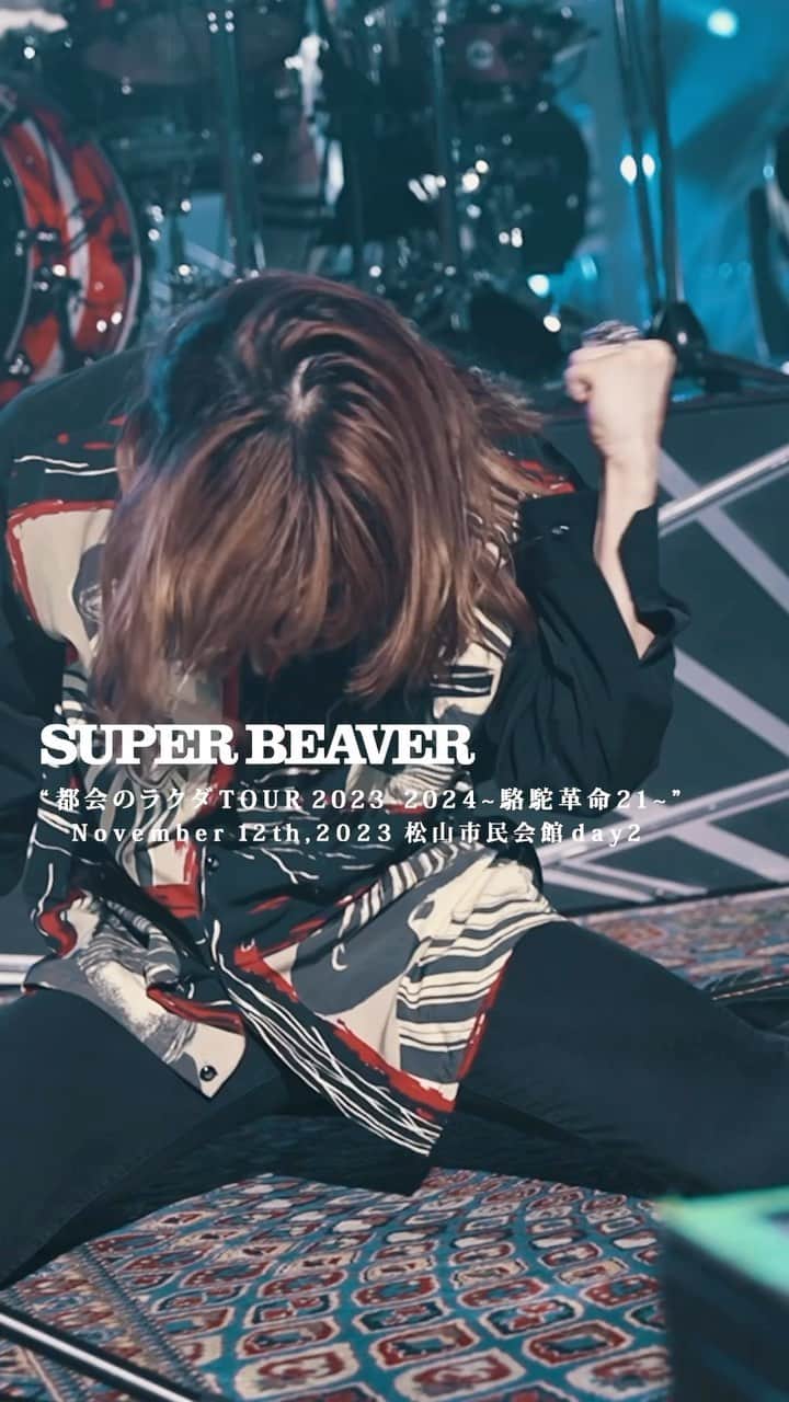 SUPERBEAVERのインスタグラム：「【#SUPERBEAVER】  都会のラクダ TOUR 2023-2024～駱駝革命21～  2023年11月12日(日) 松山市民会館-Day2-  スペシャルムービー公開！📹  (^•ω•^)〃 {いよいよ明日は北海道公演！！暖かくしてお越し下さいね！！宜しくお願い致します！！」