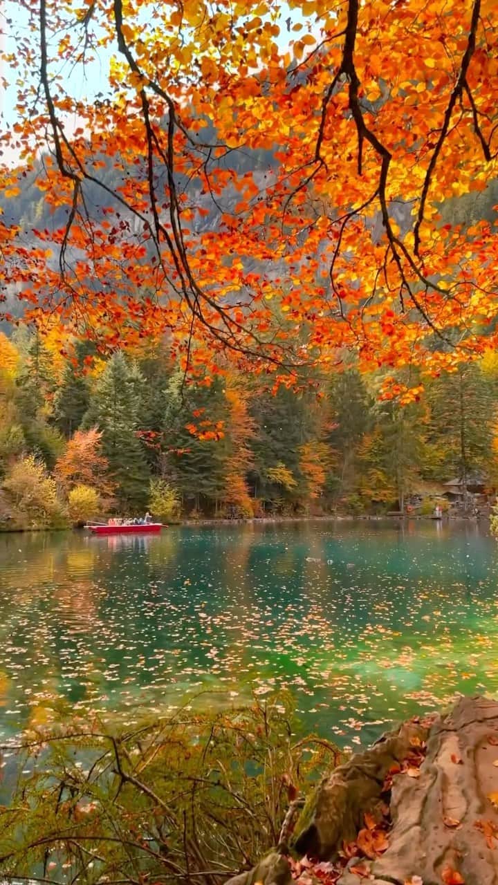 BEAUTIFUL DESTINATIONSのインスタグラム：「Embrace the breathtaking hues of nature at Blausee, Switzerland, beautifully captured by @tamas.pix. A perfect sanctuary for witnessing both sunset and sunrise wonders. 🌅🍂 Stroll by the crystal-clear lake, hike scenic trails, or savor local cuisine with a view. ✨  📽 @tamas.pix 📍 Blausee, Switzerland 🎶  Billie Eilish•What Was I Made For? [From The Motion Picture “Barbie”]」