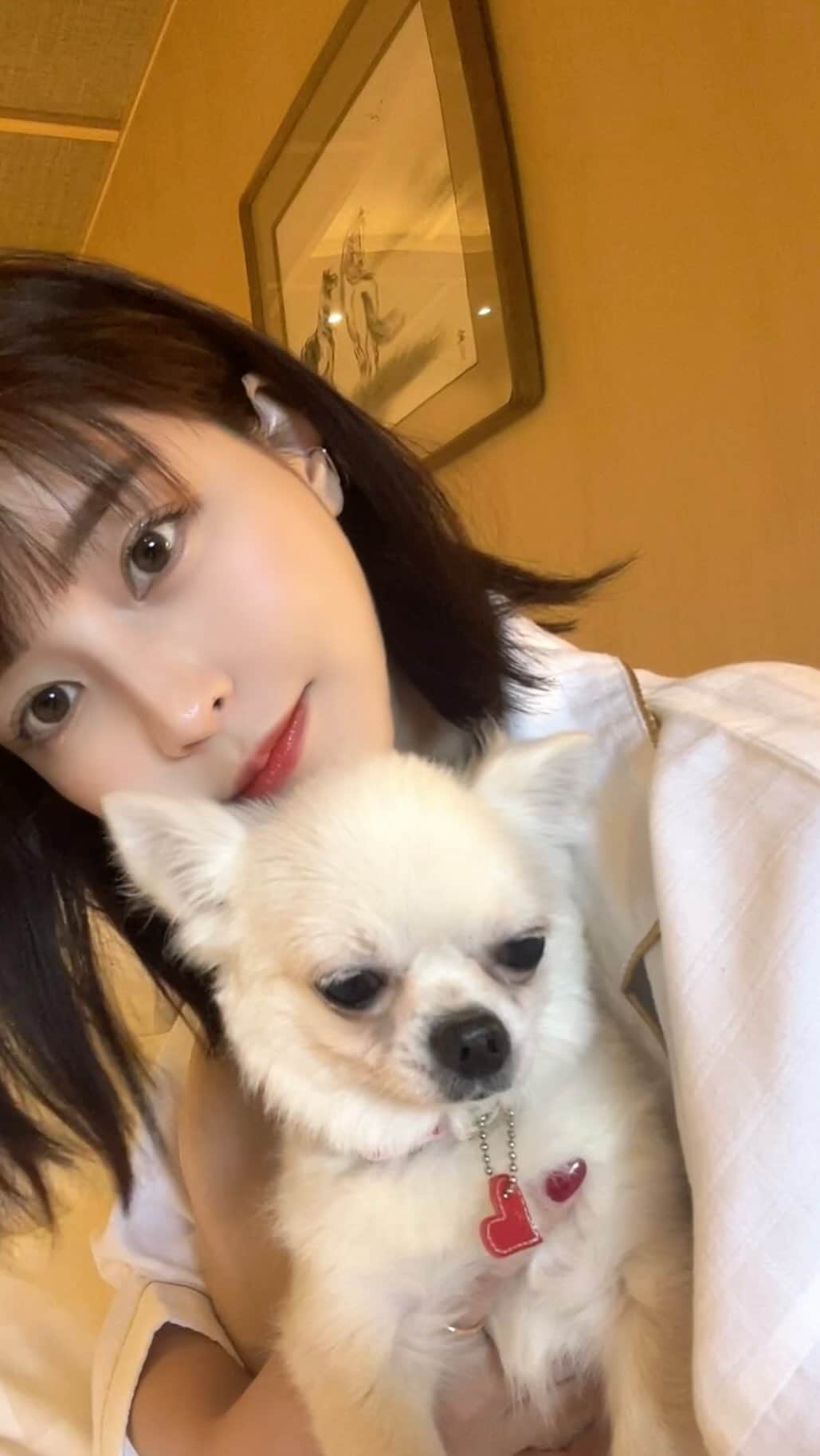 岸明日香のインスタグラム：「眠そうな愛しい子🐶  #あすぽんず」
