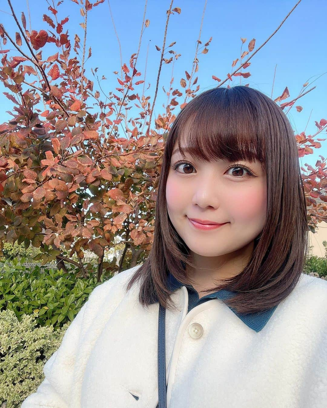 嶋梨夏さんのインスタグラム写真 - (嶋梨夏Instagram)「紅葉みーっけ🍁✨✨ . . . . . #被写体 #お仕事依頼受付中 #紅葉 #秋 #西宮ガーデンズ #兵庫 #宝塚 #むちむち #ぷに子 #アラサー女子 #平成元年生まれ #150cm #ファインダー越しの私の世界 #ポートレート #ポートレート撮影 #女優 #actress #photooftheday #JAPAN #japanesegirl #instagood #followme #ricashima #嶋梨夏」11月17日 23時12分 - shimarica_jp