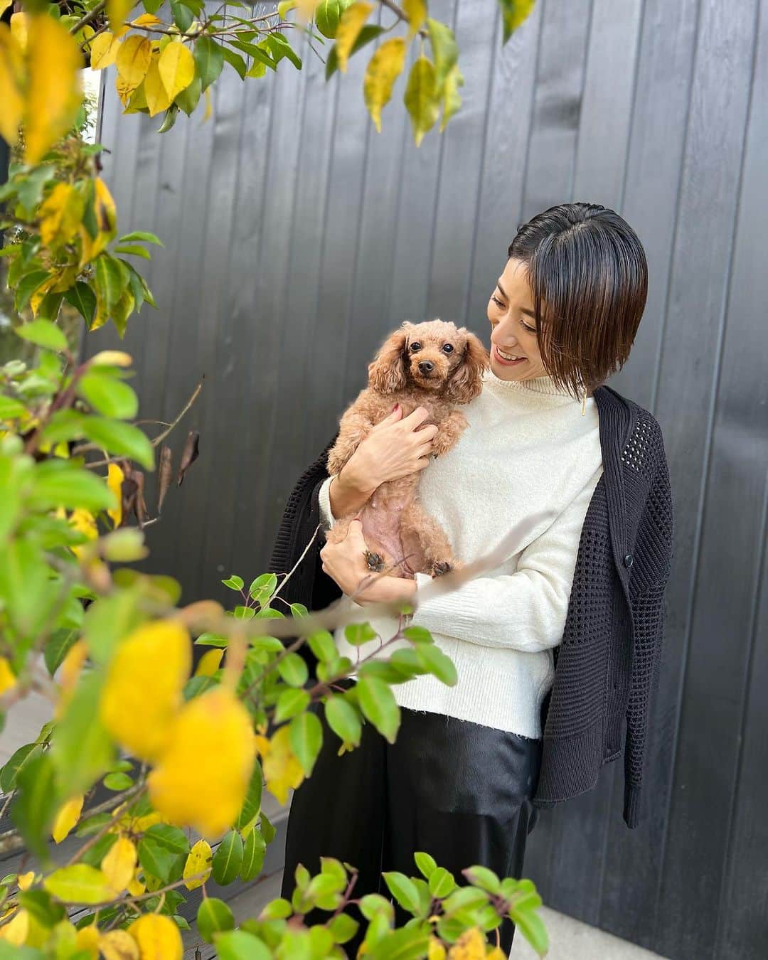 村山和実さんのインスタグラム写真 - (村山和実Instagram)「. ぺろぺろ怪獣マーレ👅🧡 ８歳のお誕生日🎂  ワクチン打つ時も尻尾ふってたり💉 わんちゃんも人も大好きで いつもハッピーな子🧡  ルーを産んだ時は 目もまだ開いてない赤ちゃんなのに 大好きな自分のおもちゃを隣に置いてあげたり、 おっきくなった今でも赤ちゃんにするみたいに顔を舐めてあげたり(ルーは嫌がってるw)  とっても愛情深くて とってもおせっせかい🧸🤎  懐っこくておちゃめな所が可愛くて大好き🤎  #happybirthday#mare#マーレのお誕生日 #happydog #toyphotography  #トイプードル #マママーレ #トイプーファミリー #犬スタグラム」11月17日 23時12分 - nagomi.murayama