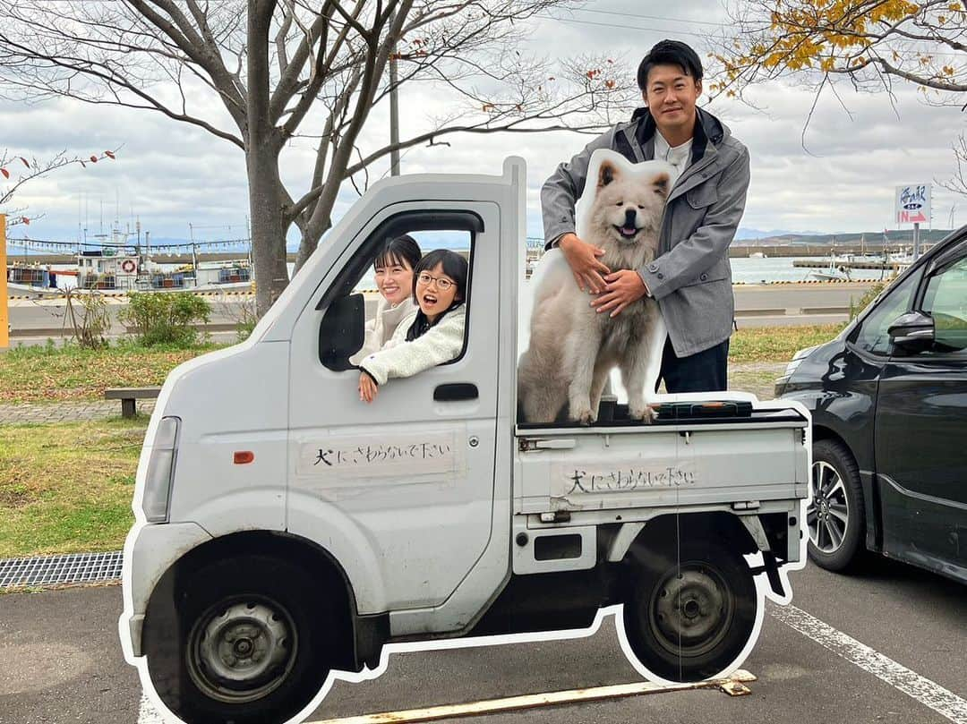 服部未佳さんのインスタグラム写真 - (服部未佳Instagram)「電車でおでかけ！はぴさんぽ🚃 あどばるーん新山大さんと 可愛いはるちゃんと一緒に 旅してきました🐶  明日はハッピィぐるめの放送も！ 居酒屋ランチ特集です🏮 朝9:35〜ハッピィご覧ください🐥  #リゾートしらかみ #五能線 #JR  #深浦町 #千畳敷海岸  #鯵ヶ沢町 #わさお #海の家わんど  #漁師めし波 の海鮮丼とてもおいしかった🤤 #はるちゃん初サイン  #鯵ヶ沢相撲館 #舞の海 さん  千畳敷で撮影の後 #食堂民宿田中 で あたたかいお茶と抱擁を いただきました🍵🫶🏻  #服部未佳 #アナウンサー」11月17日 23時21分 - mikahattori_aba