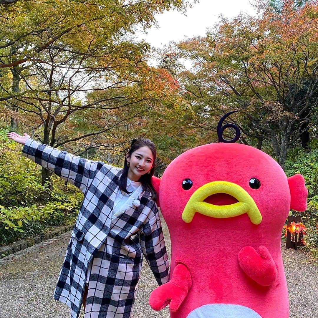 友廣南実さんのインスタグラム写真 - (友廣南実Instagram)「・ 今日は、神戸市立森林植物園へ🍁  国内最大級の園内は、 様々な品種の紅葉が見られるので散歩がとても楽しかったです✨  メタセコイアの並木道、 オレンジ色のトンネルのようで とっても温もりを感じました🧡🧡  紅葉の季節も好きやなぁ〜！！  ・  明日は近畿各地で、真冬並みの寒さになりそうです☃️☃️ お出かけの際は寒さ対策をしっかりしてください🙆‍♀️  (3枚目は、下に仕込んでいたウルトラダウンが丸見えだったので笑ってます😂😂)  #神戸市立森林植物園 #メタセコイア #メタセコイア並木 #モミジ #紅葉スポット #紅葉」11月17日 23時48分 - minami_tomohiro_