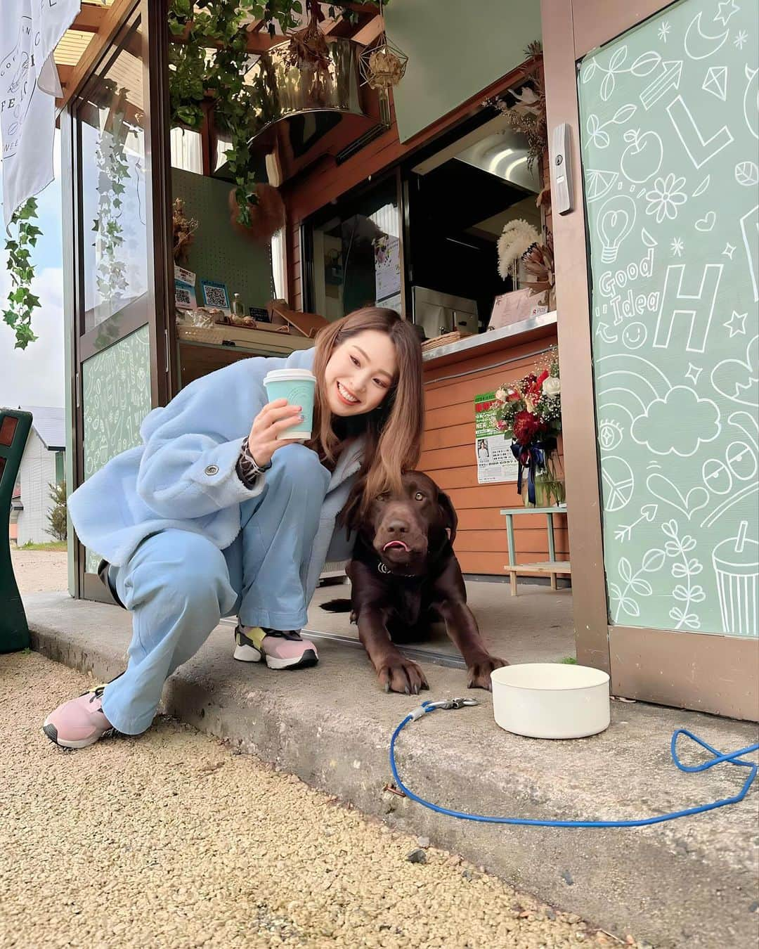 田中里依奈さんのインスタグラム写真 - (田中里依奈Instagram)「. いつも癒される🐶 水をがぶ飲みしてたよ➰ @cafe.louve  . #cafelouve#看板犬 #白馬村 #白馬村カフェ#hakuba#hakubavalley  #長野県カフェ #道の駅白馬#カフェ活」11月18日 0時16分 - riina_tanaka